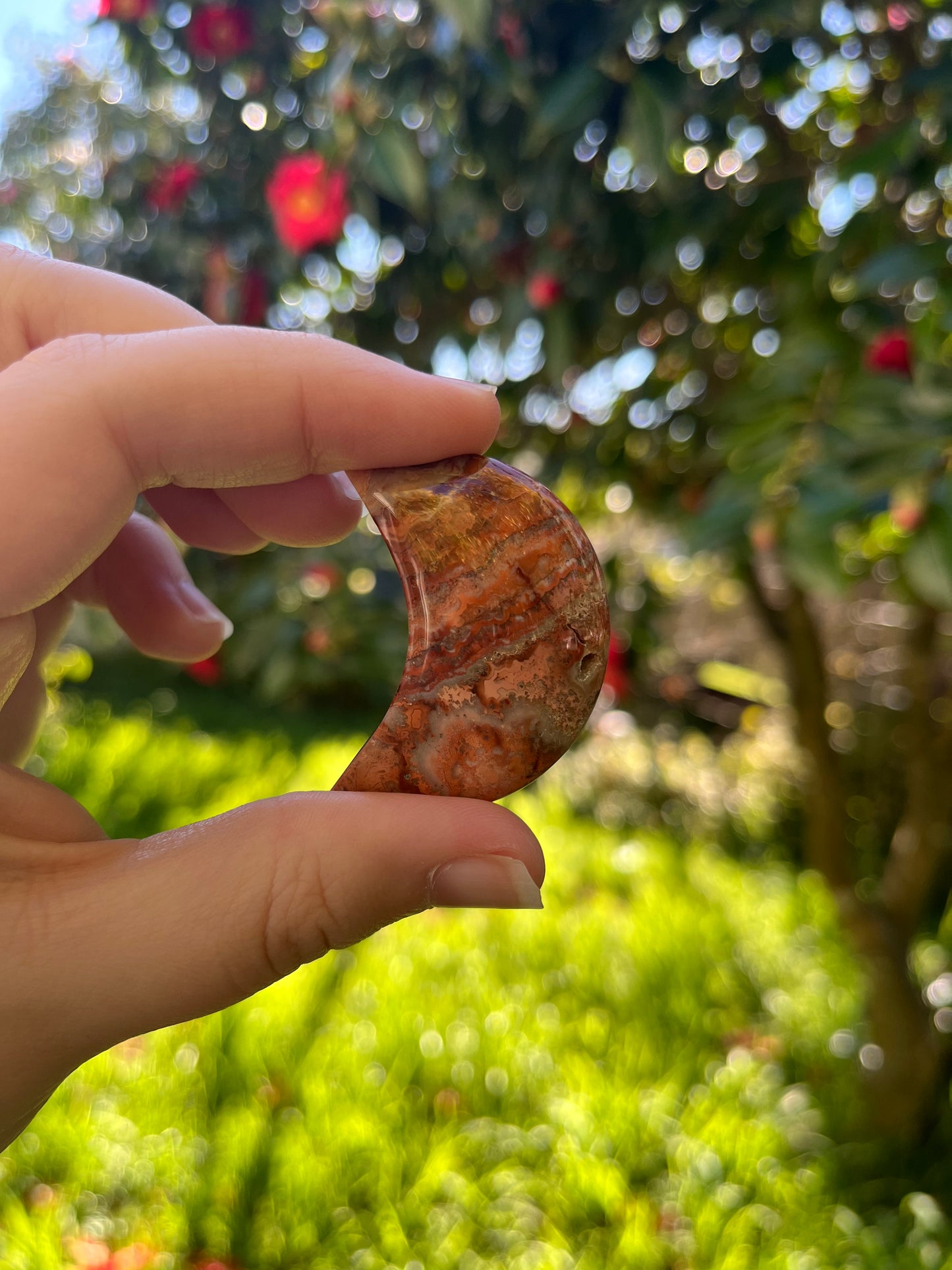 Pink Crazy Lace Agate Moon
