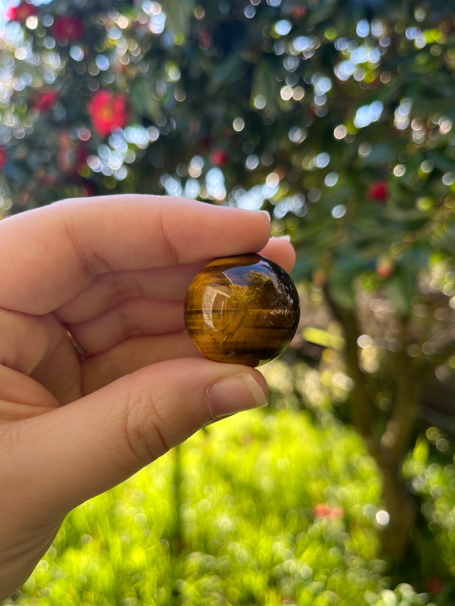 Tigers Eye Sphere