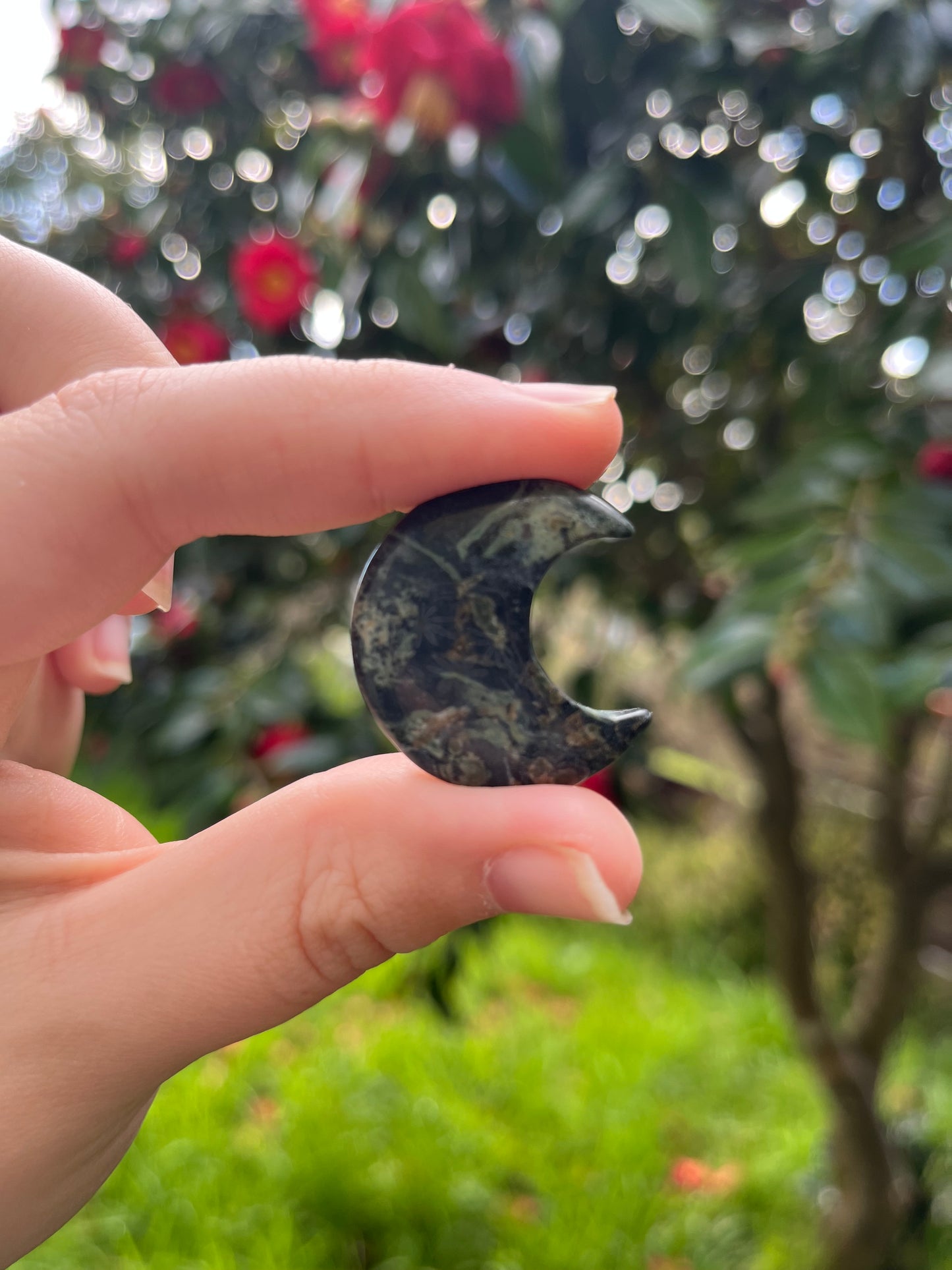 Kambaba Jasper Moon Carving