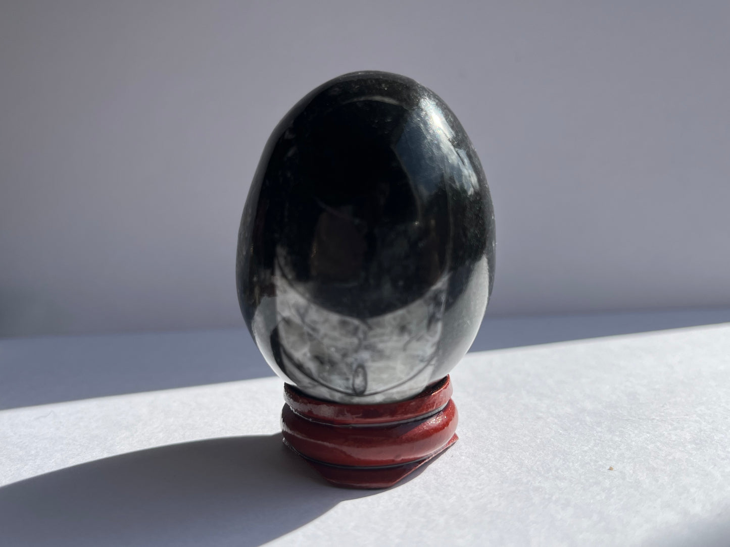 Orthoceras Egg