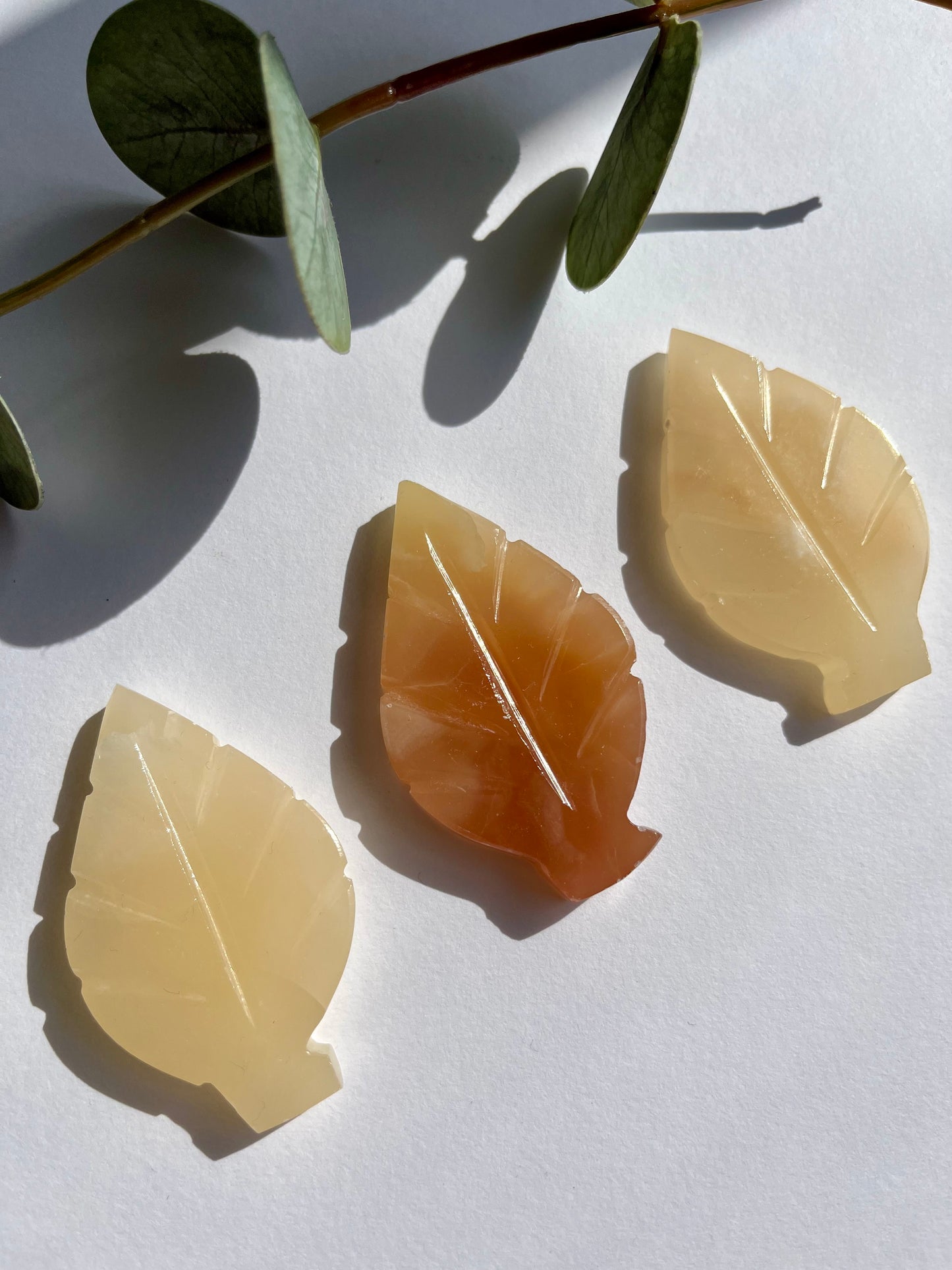 Honey Calcite Leaf Carving