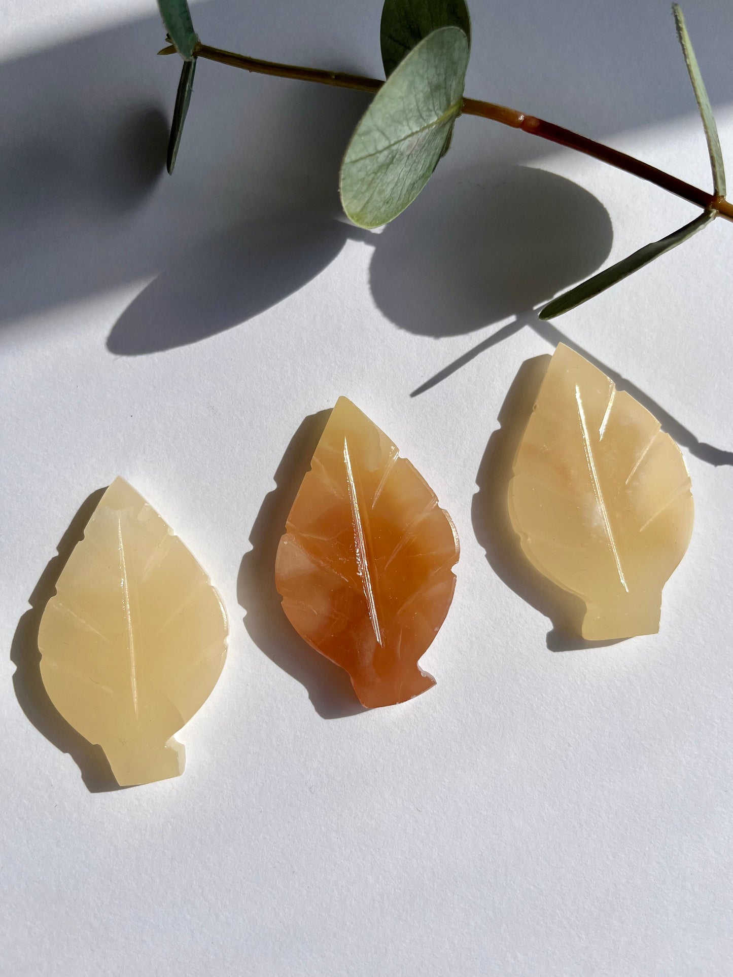 Honey Calcite Leaf Carving