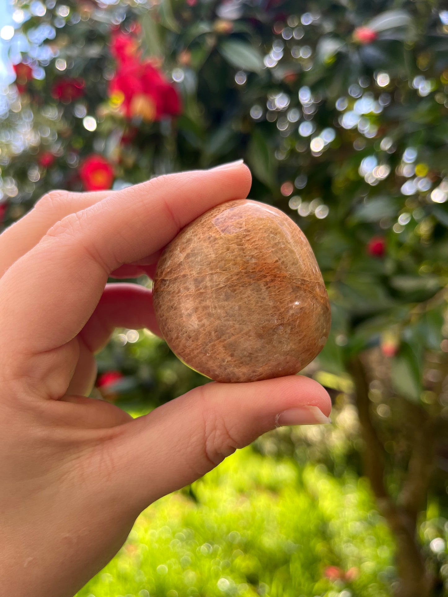 Peach Moonstone Palm Stone