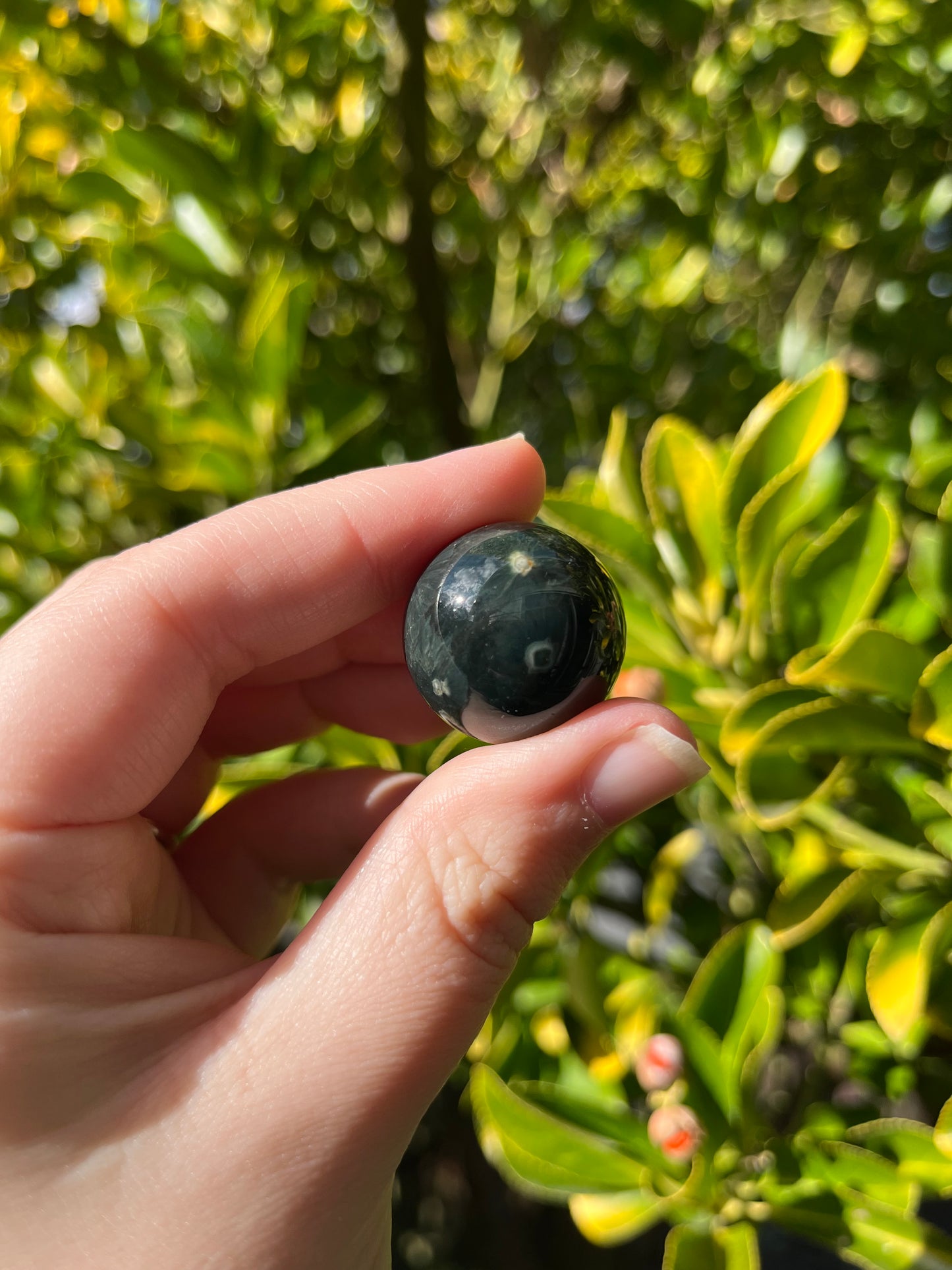 Ocean Jasper Sphere