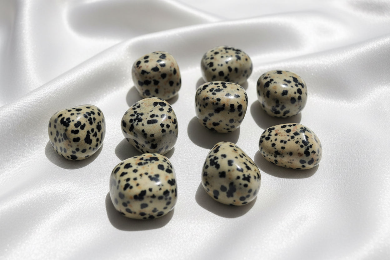 Dalmatian Jasper Tumbled Stone