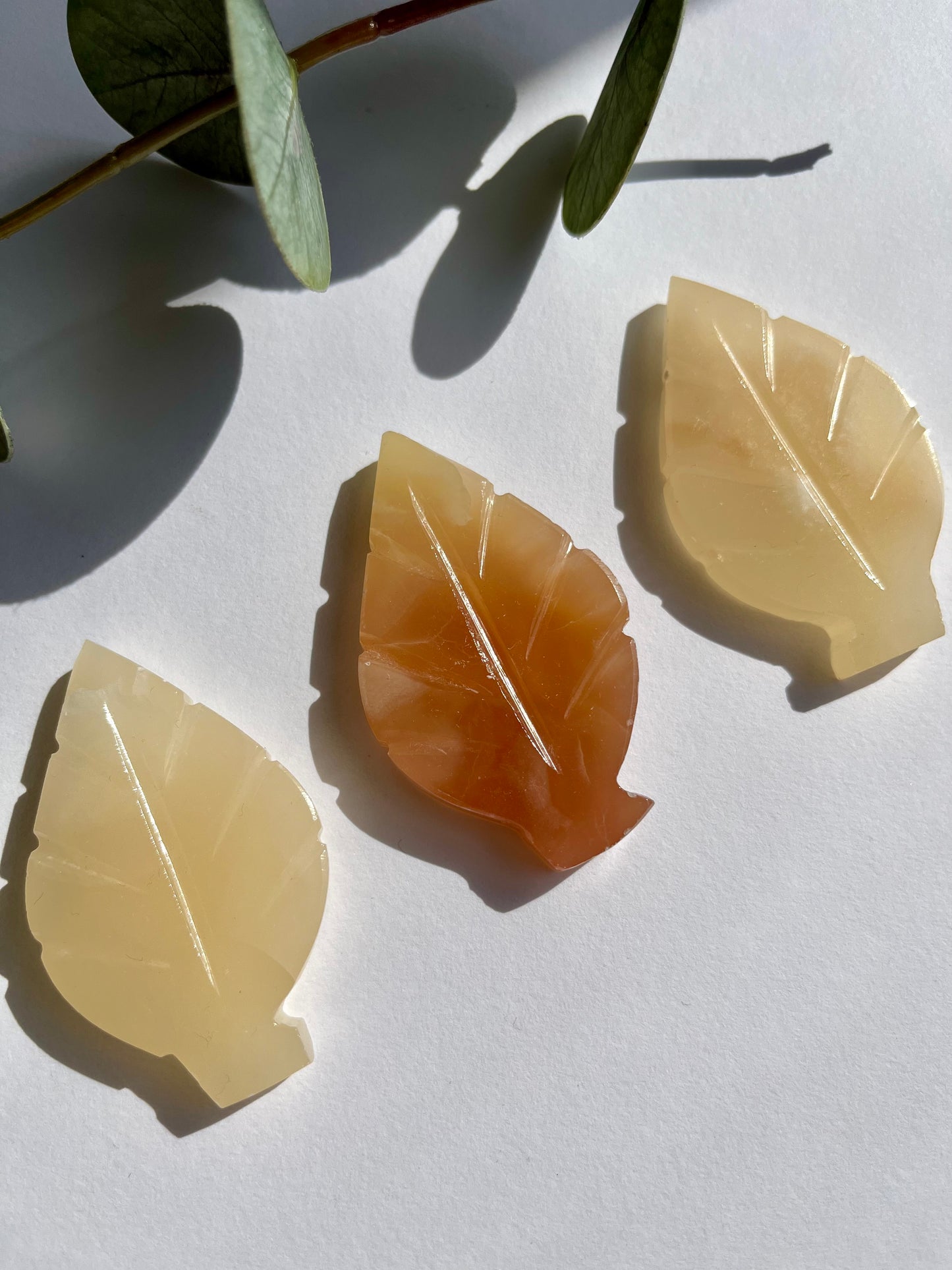 Honey Calcite Leaf Carving