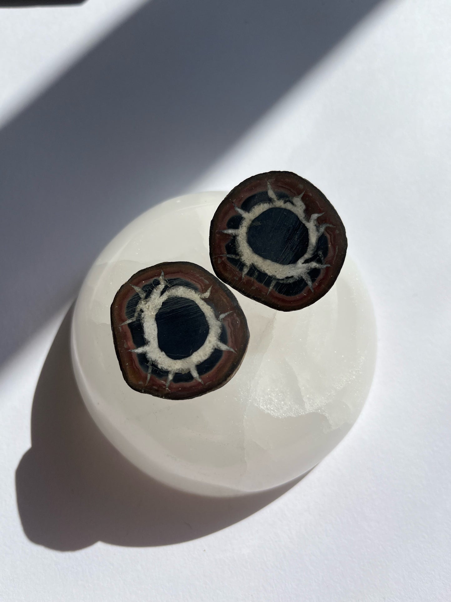 Septarian Fossil - Pair