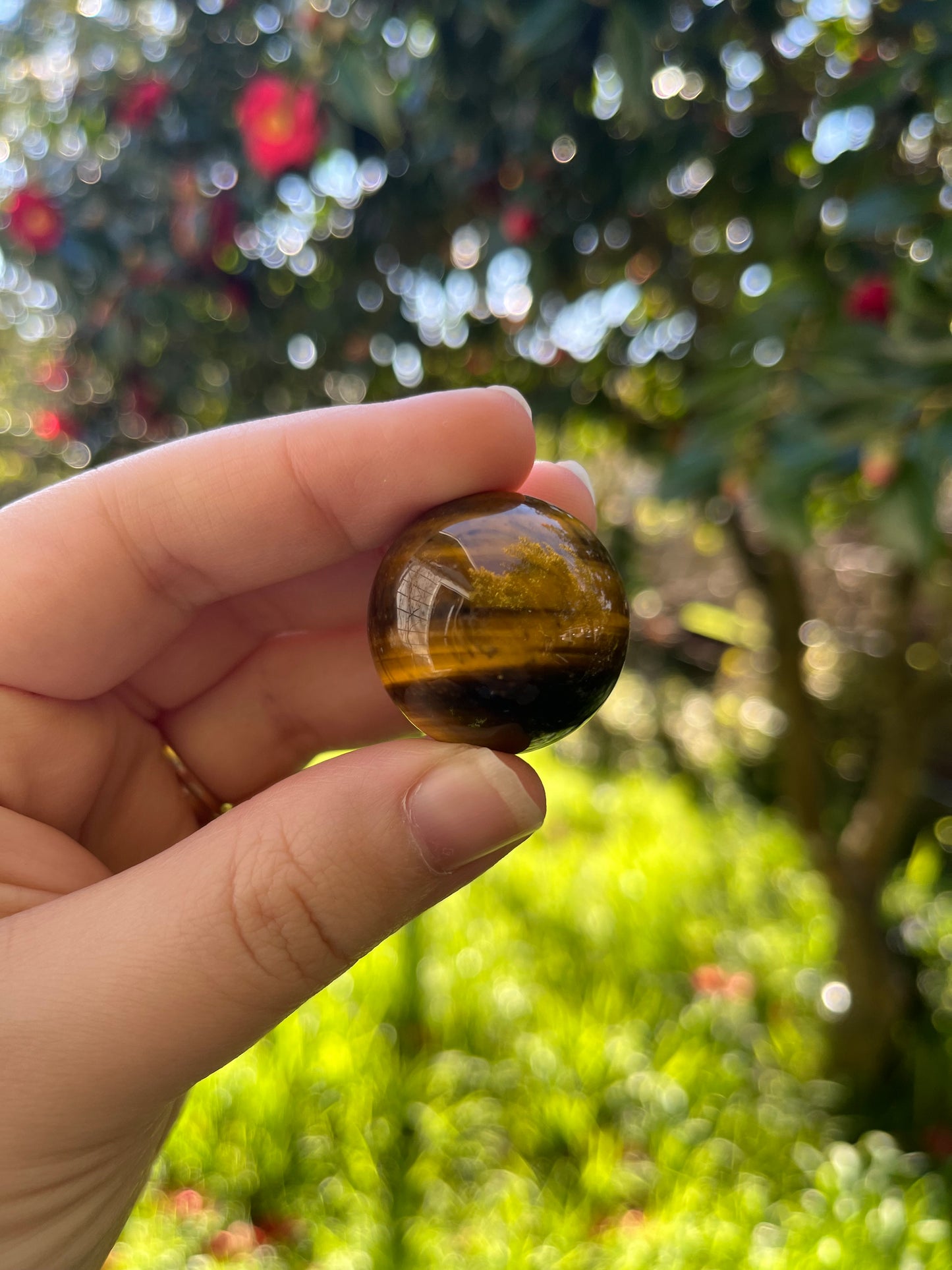 Tigers Eye Sphere