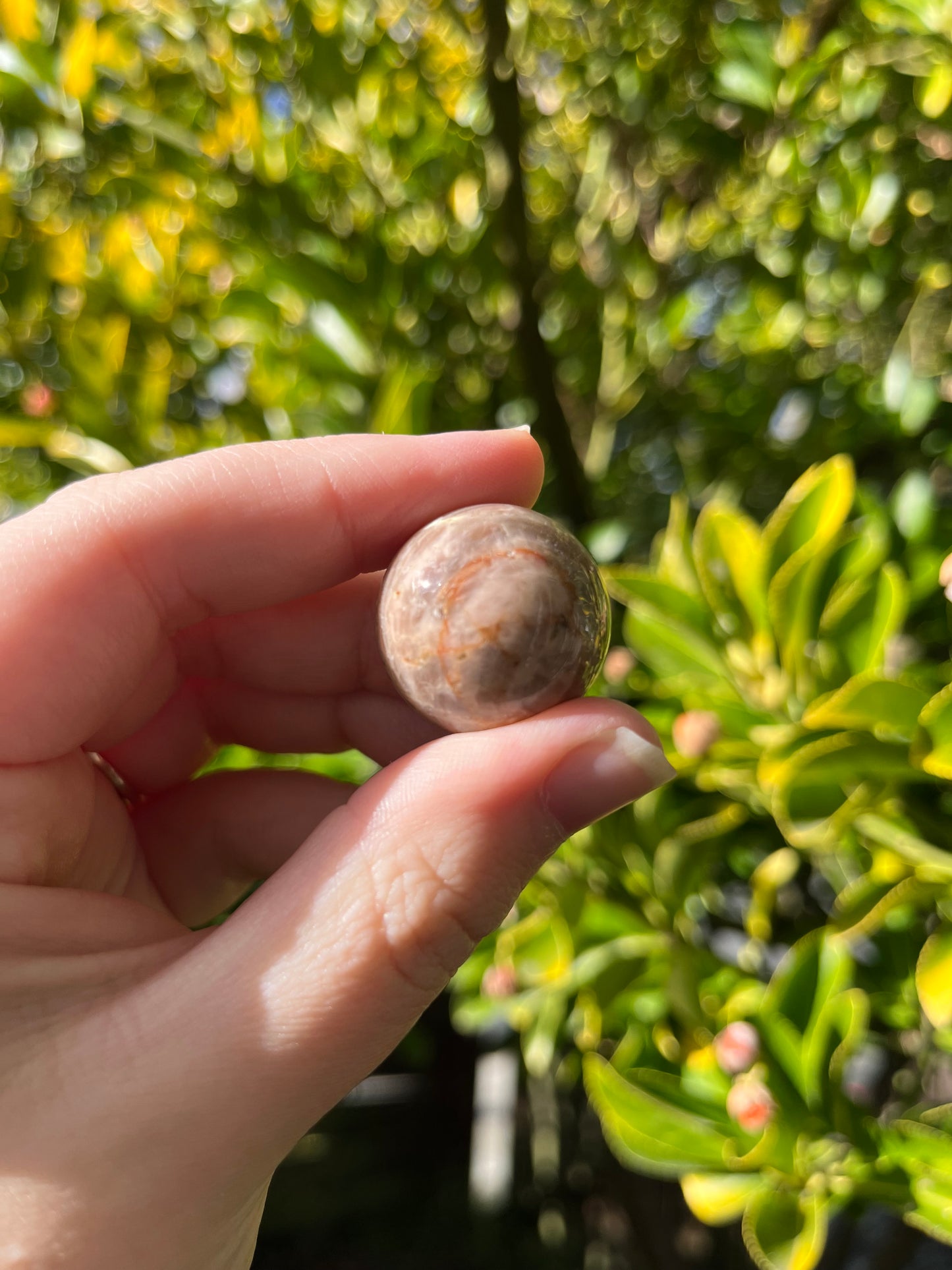 Brown Moonstone Sphere