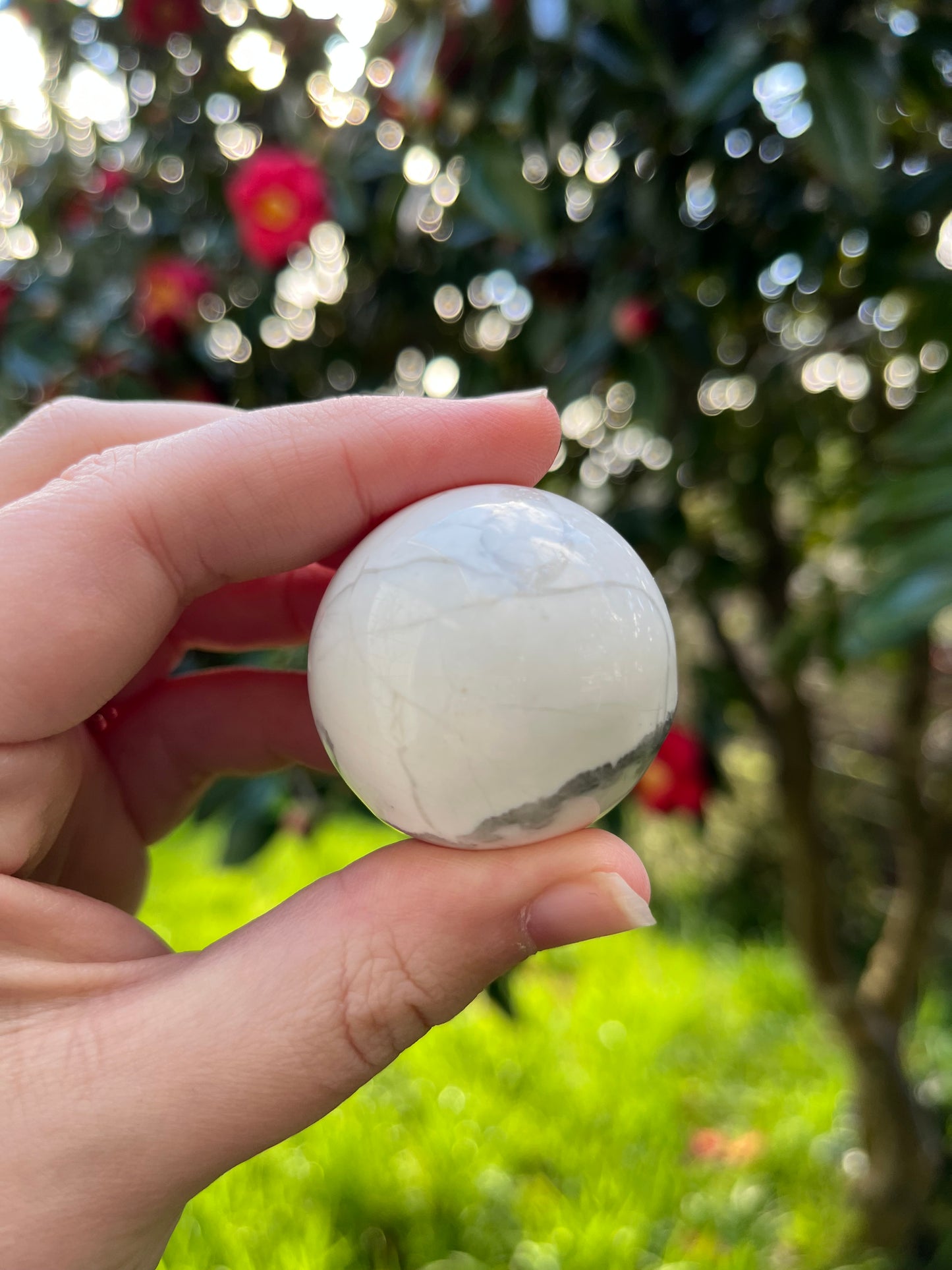 Howlite Sphere
