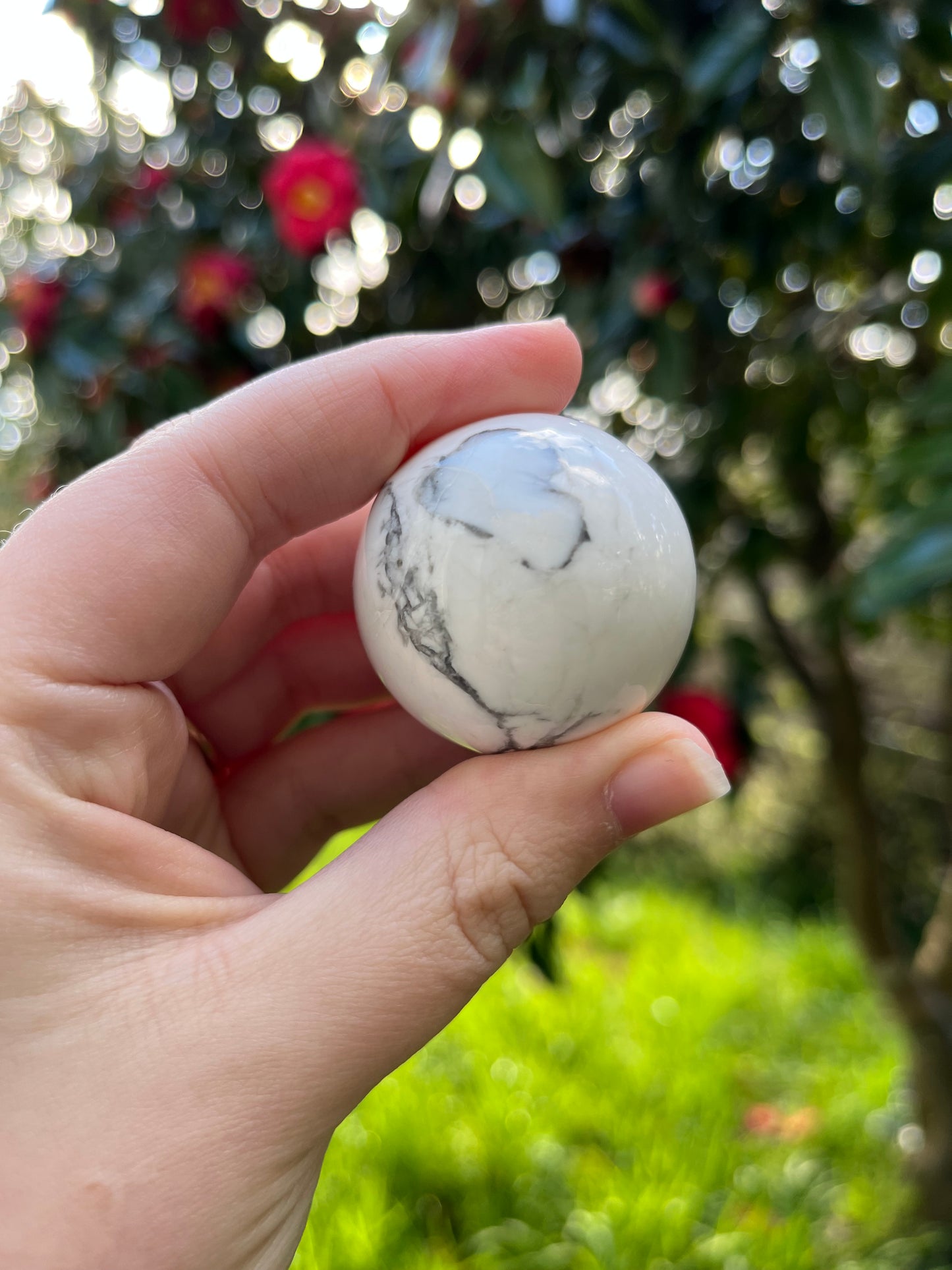 Howlite Sphere