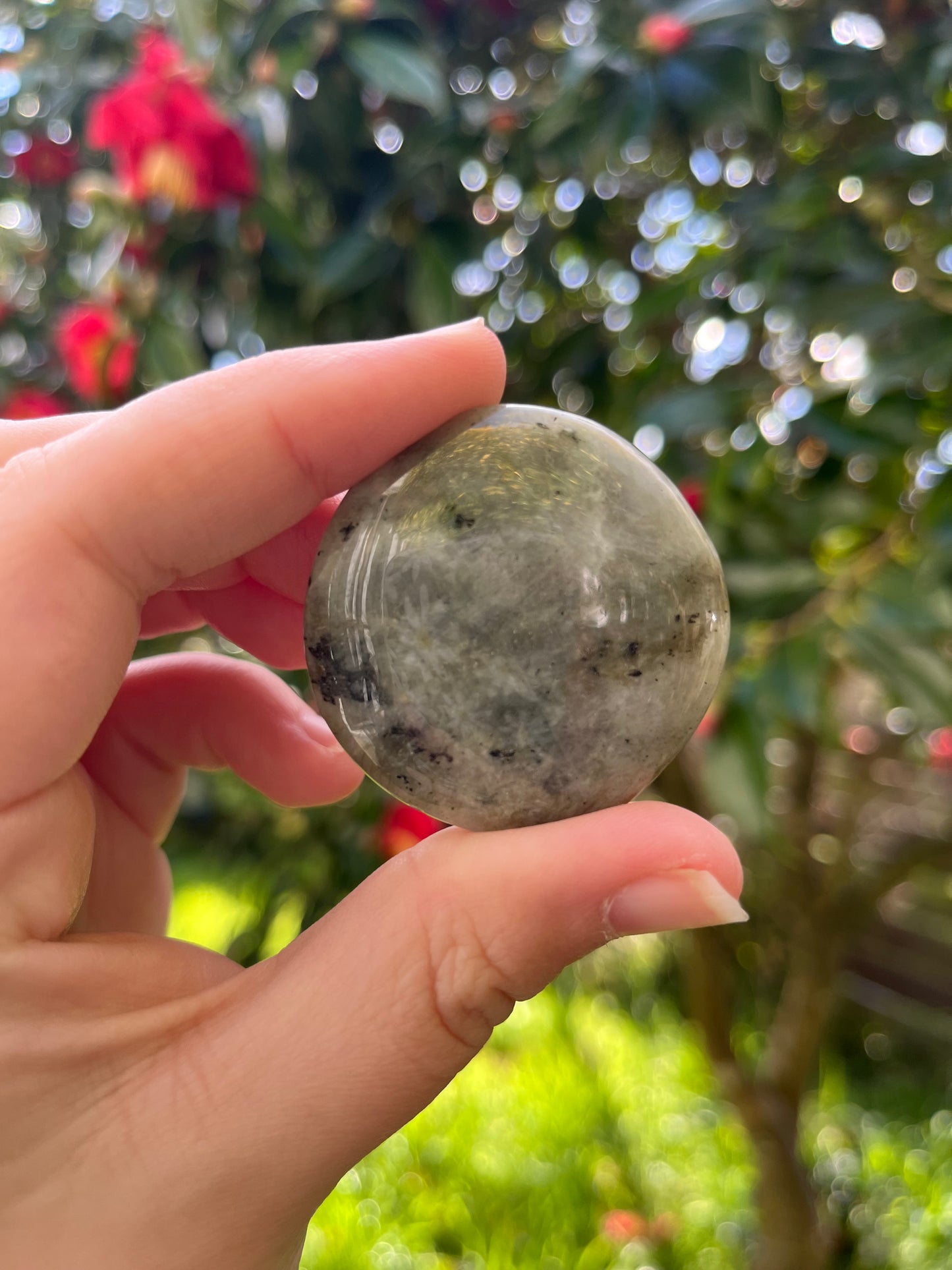Labradorite Flat Stone
