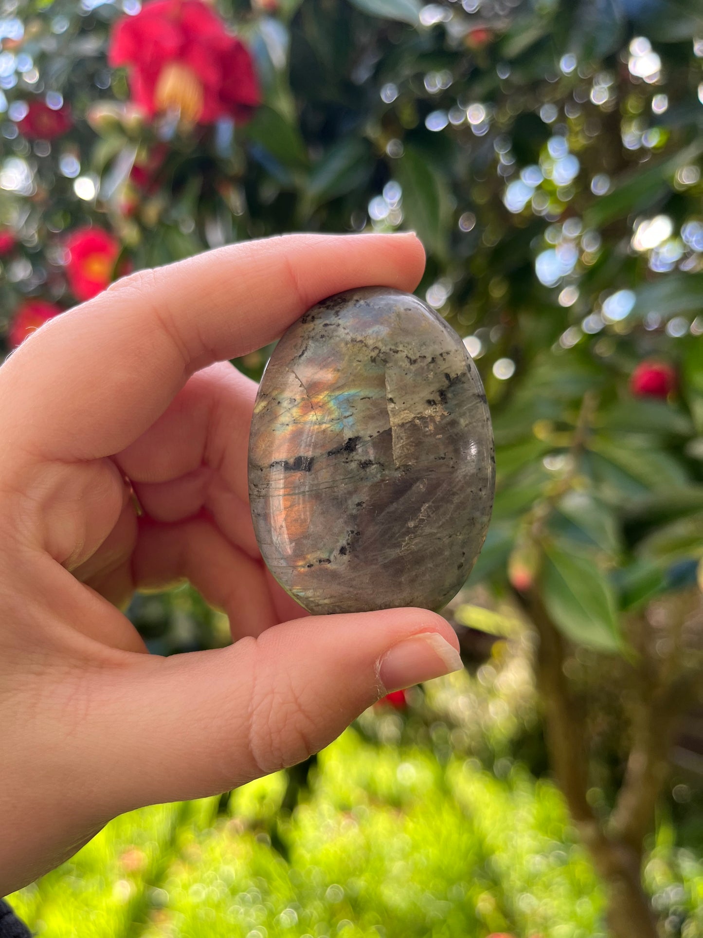 Rainbow Labradorite Palm Stone