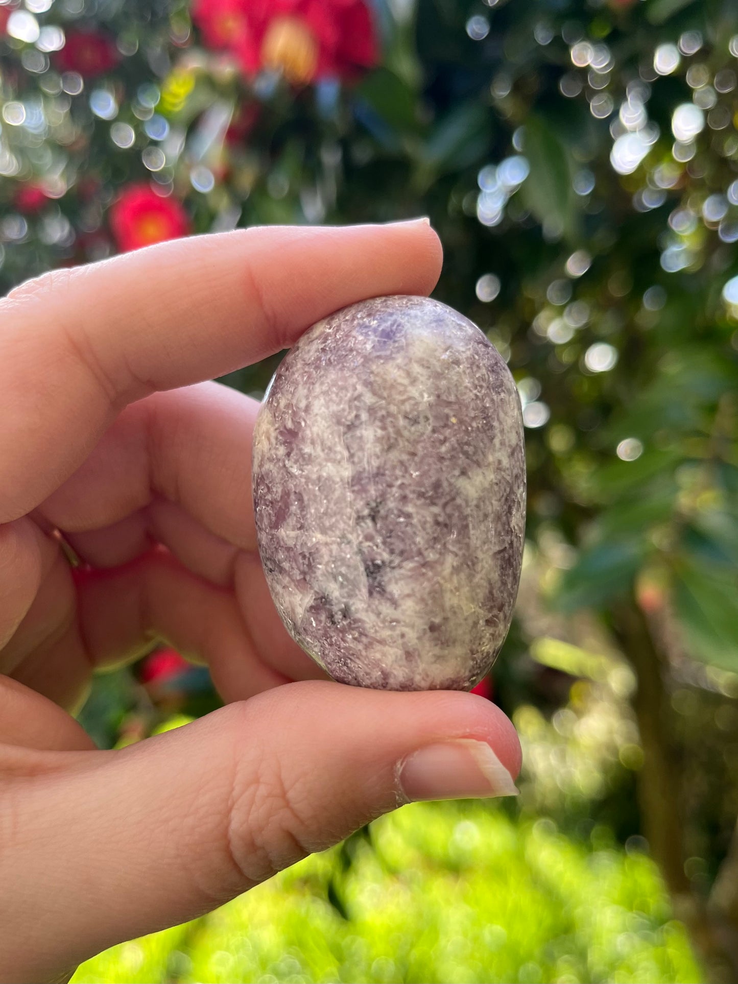 Lepidolite Palm Stone