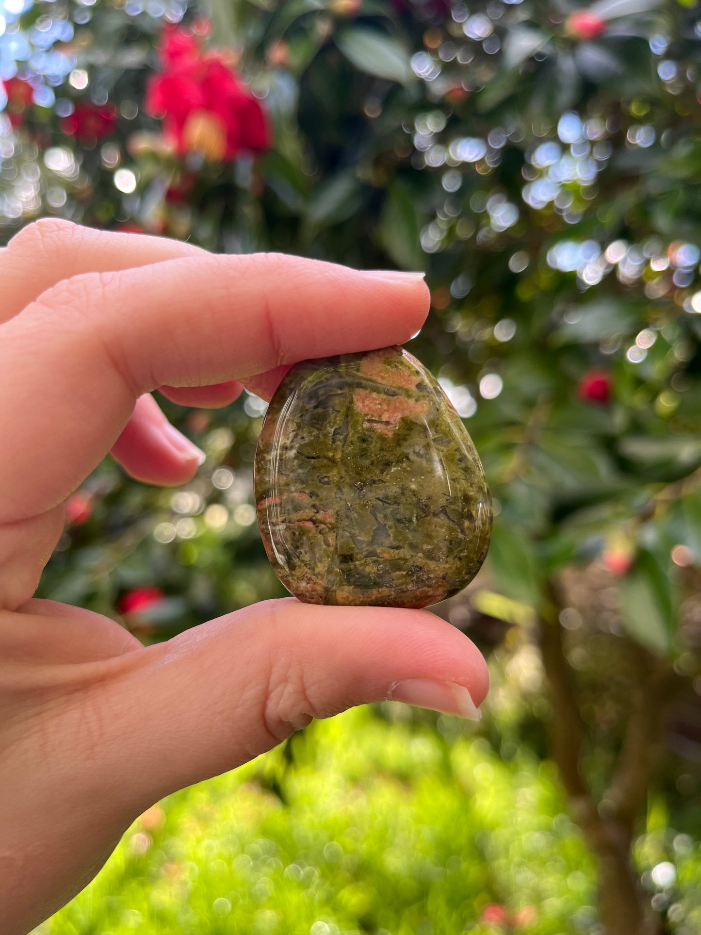 Unakite Flat Stone