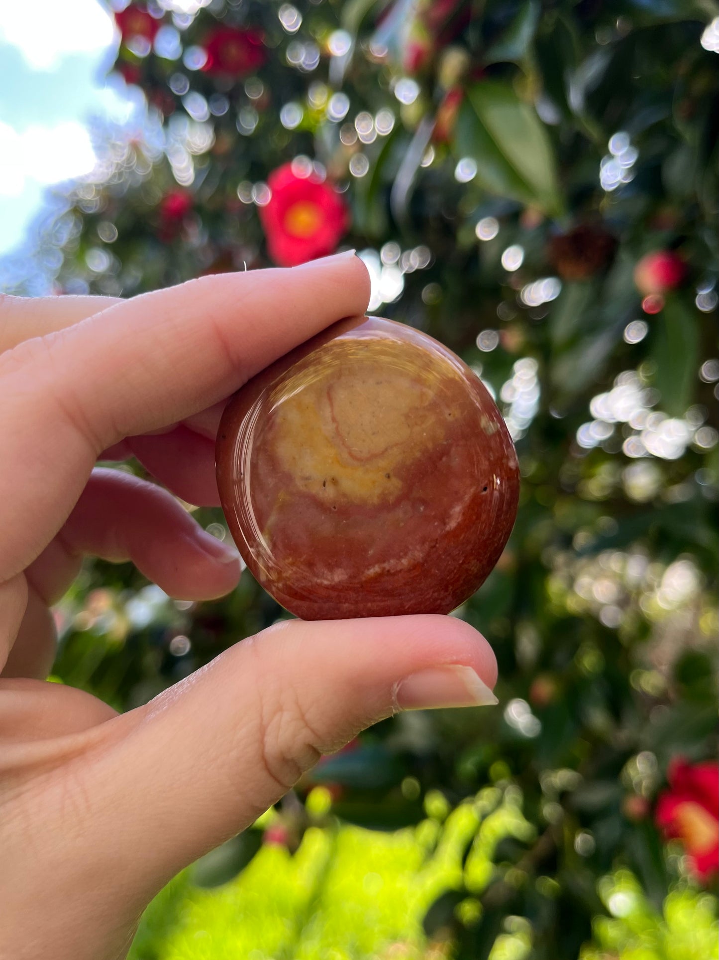Polychrome Jasper Flat Stone