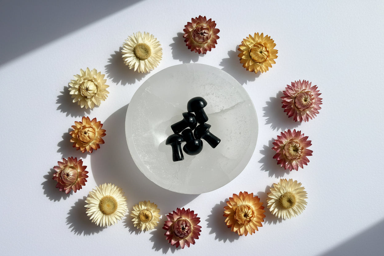 Black Obsidian Mini Mushroom