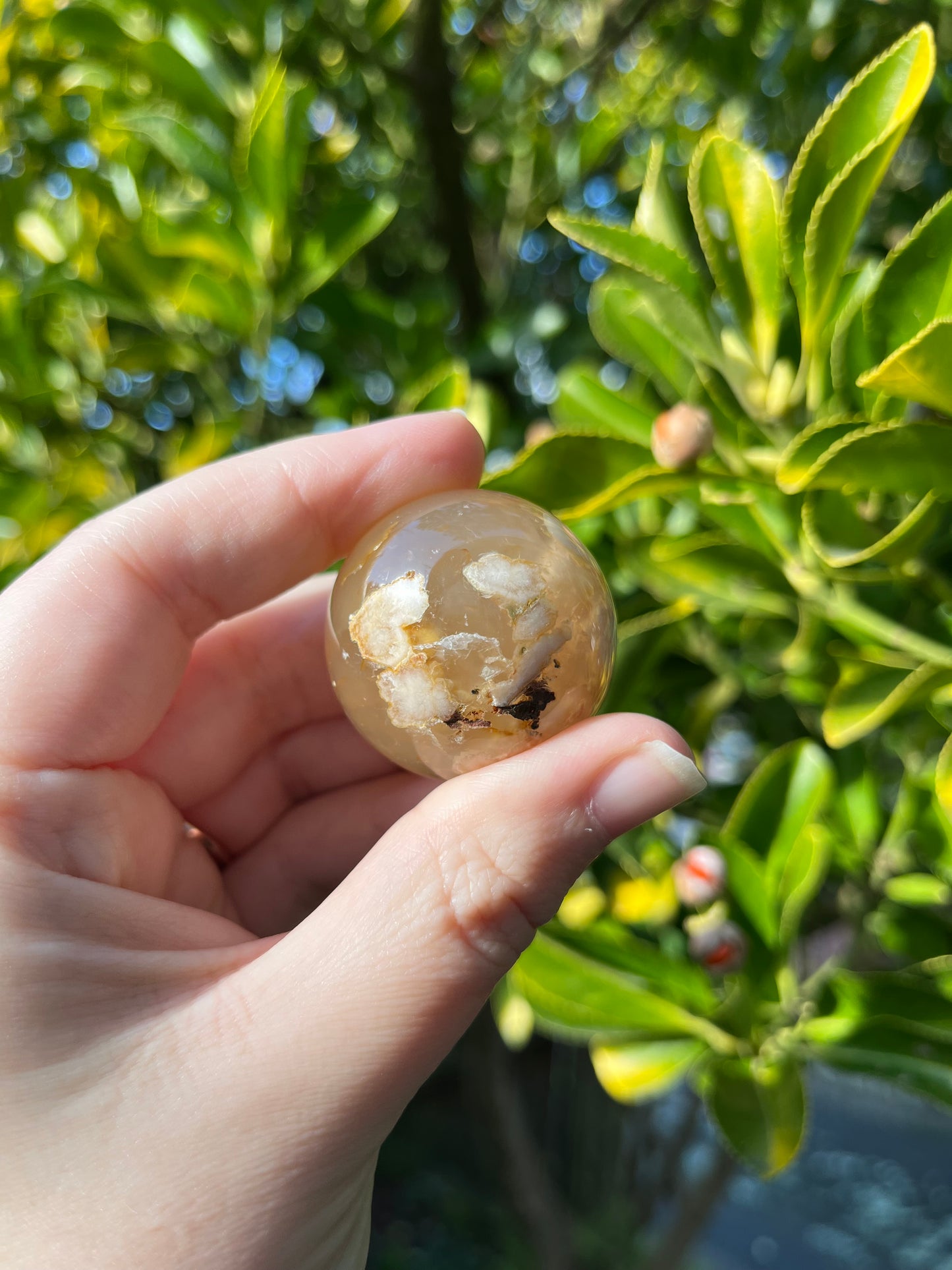Flower Agate Sphere #1