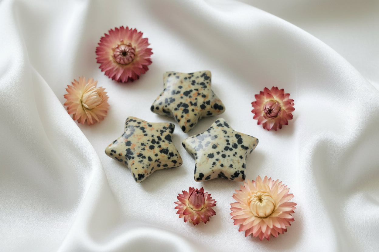 Dalmatian Jasper Star