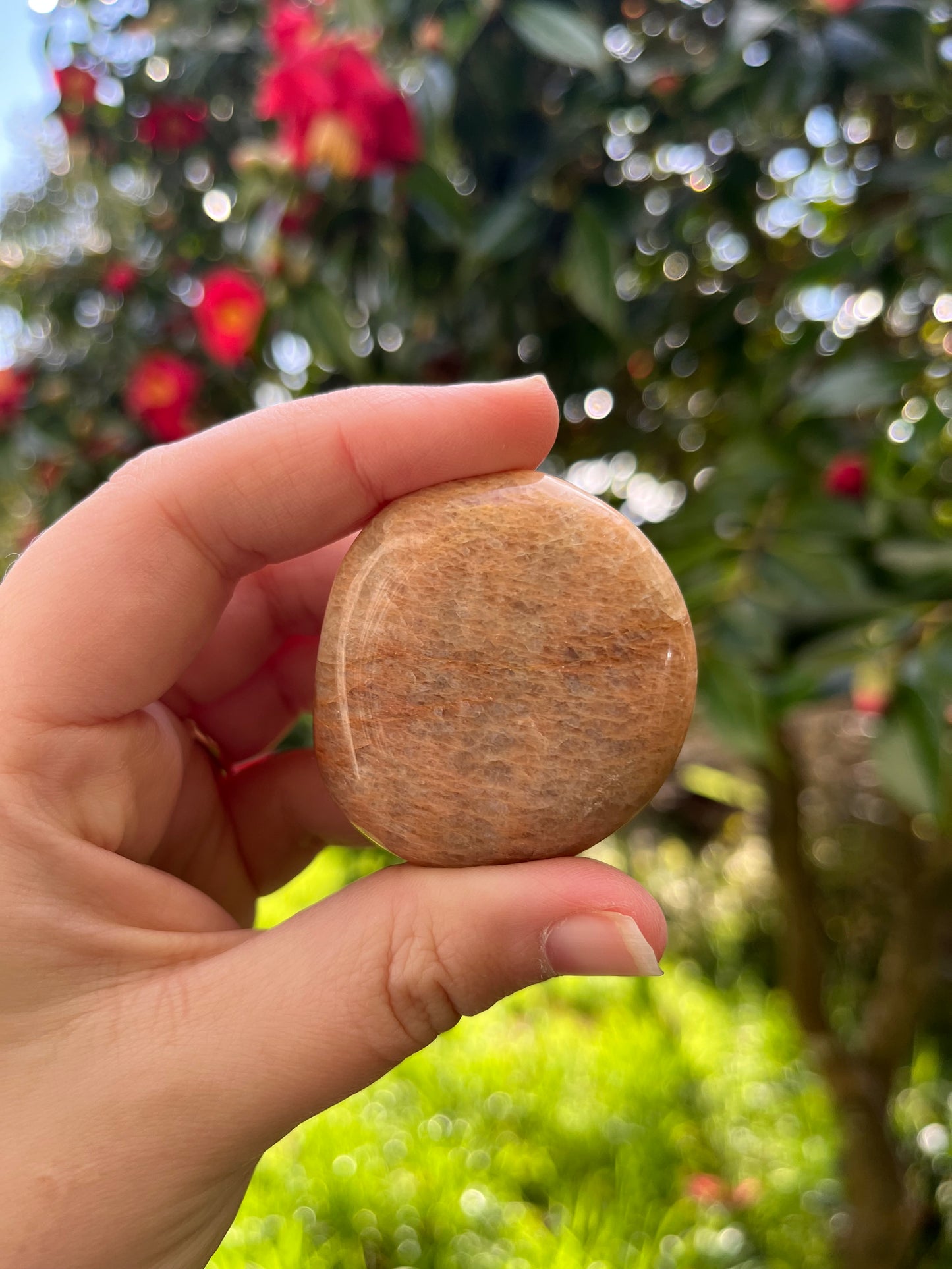 Peach Moonstone Palm Stone