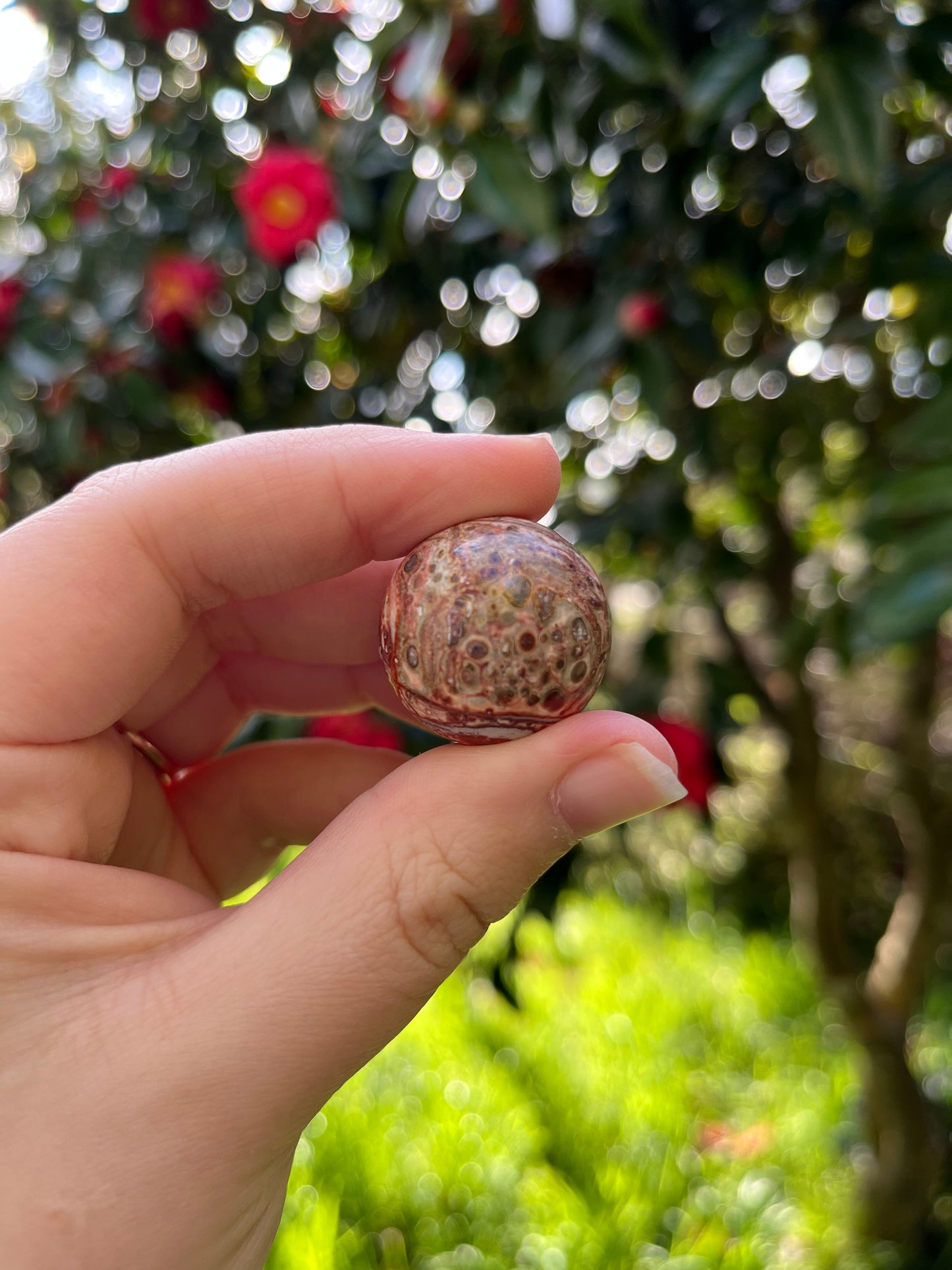 Leopardskin Jasper Sphere