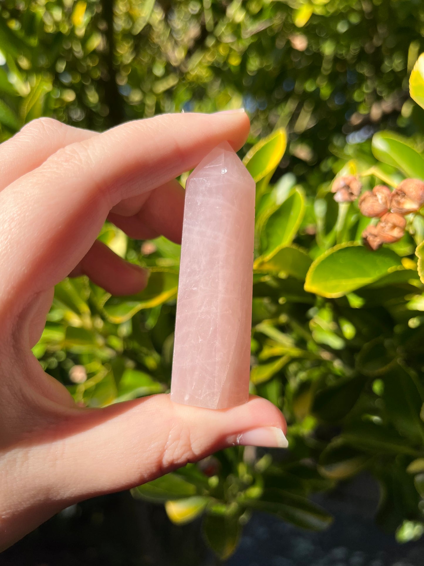 Rose Quartz Point