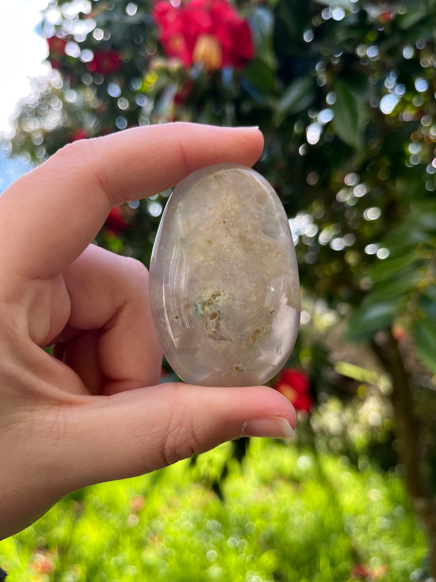 Flower Agate Palm Stone #2