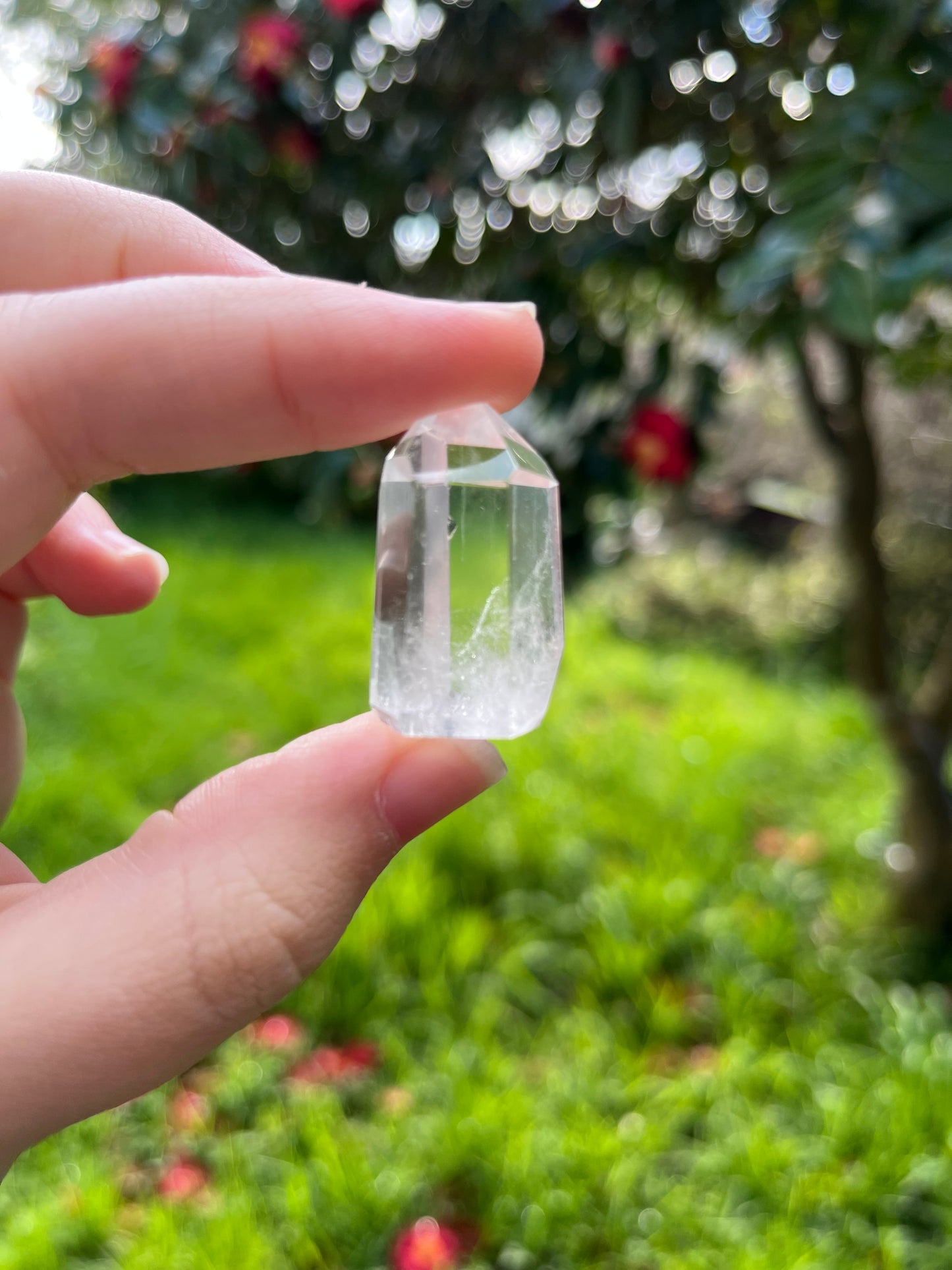 Quartz Mini Point #3