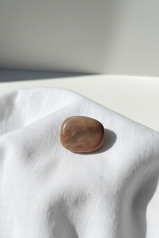 Petrified Wood Flat Stone