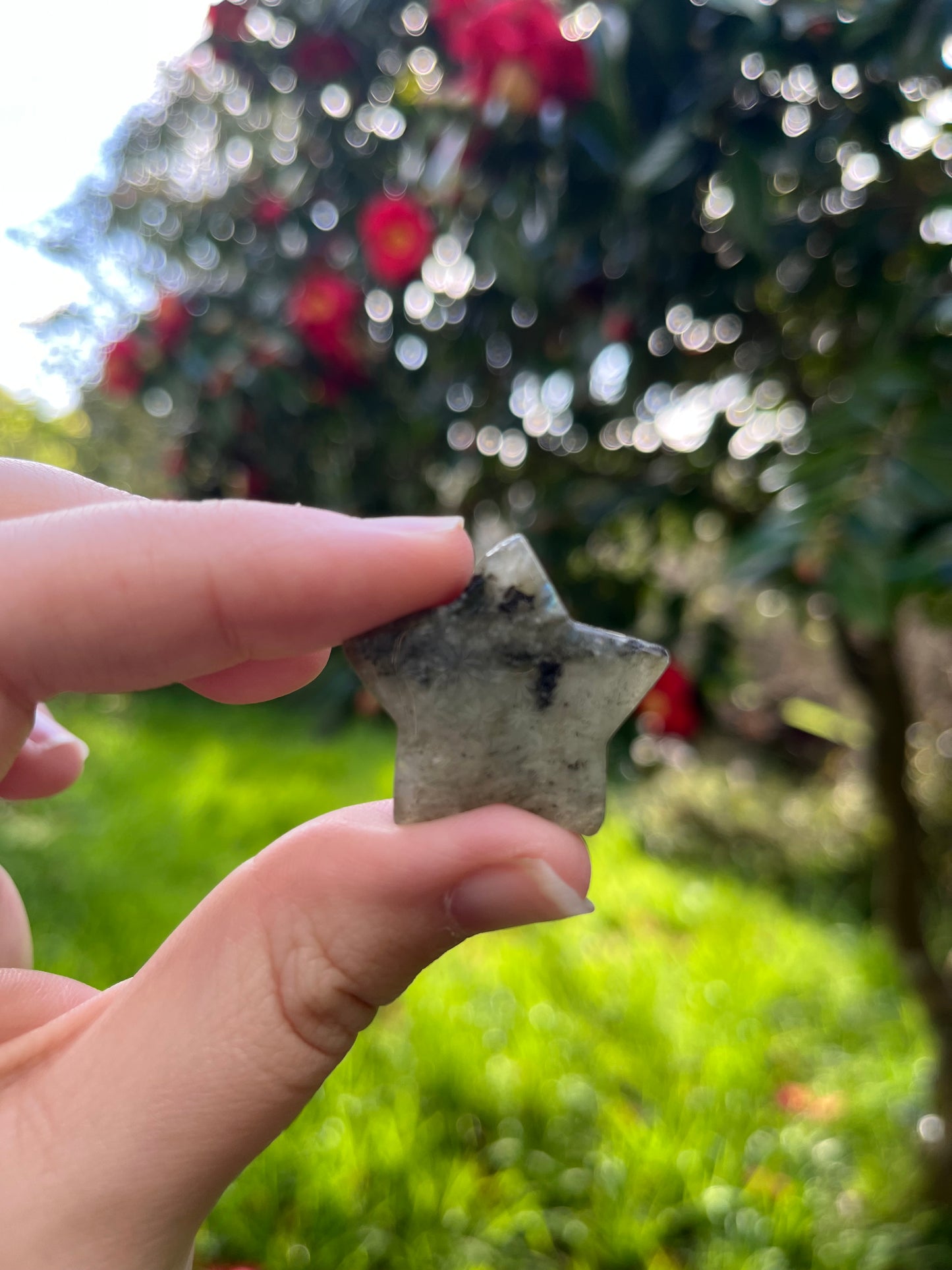 Labradorite Star