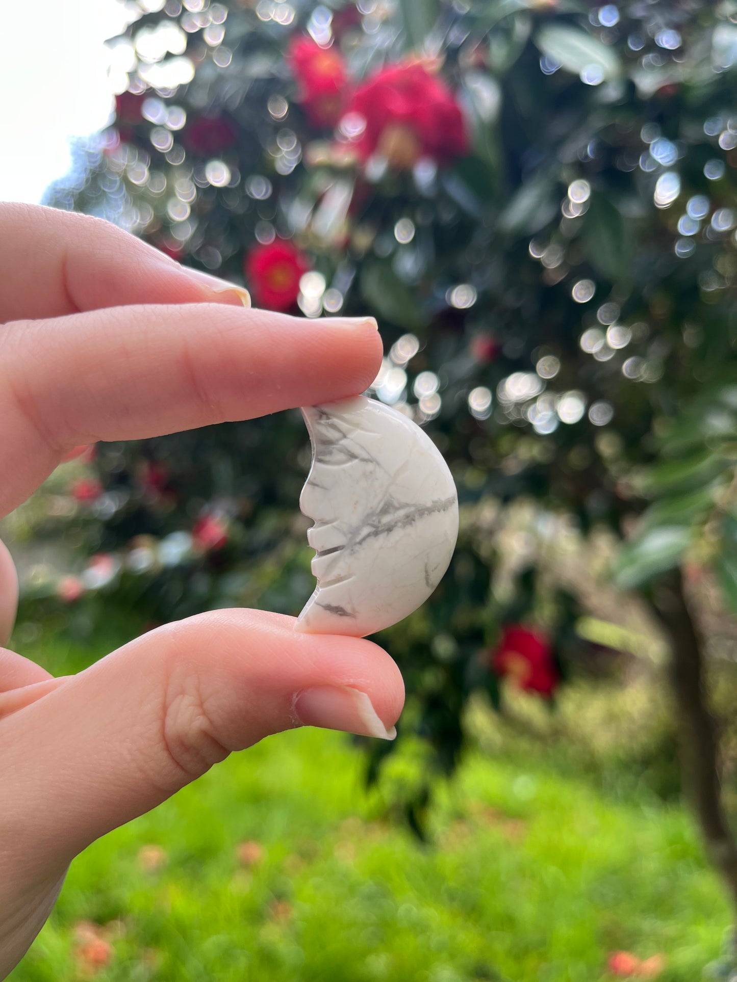 Howlite Moon Carving
