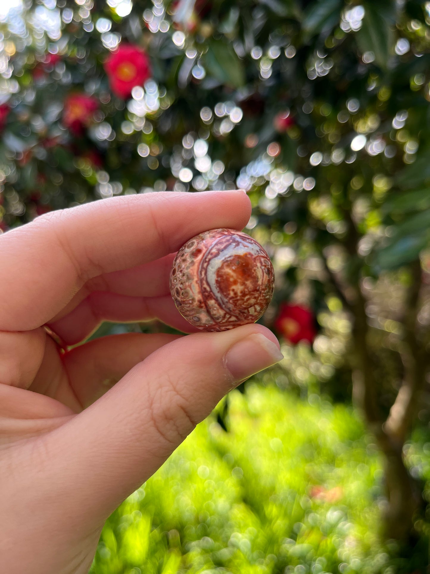Leopardskin Jasper Sphere