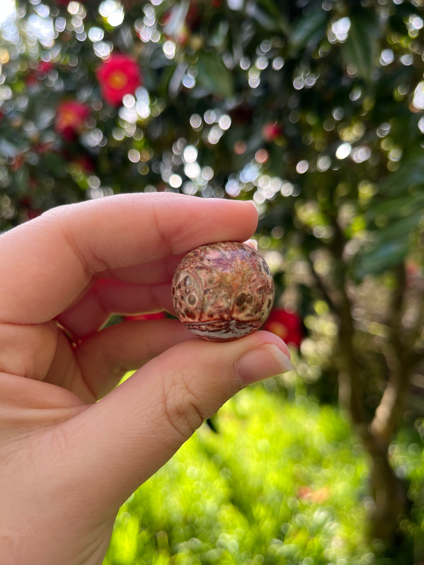 Leopardskin Jasper Sphere