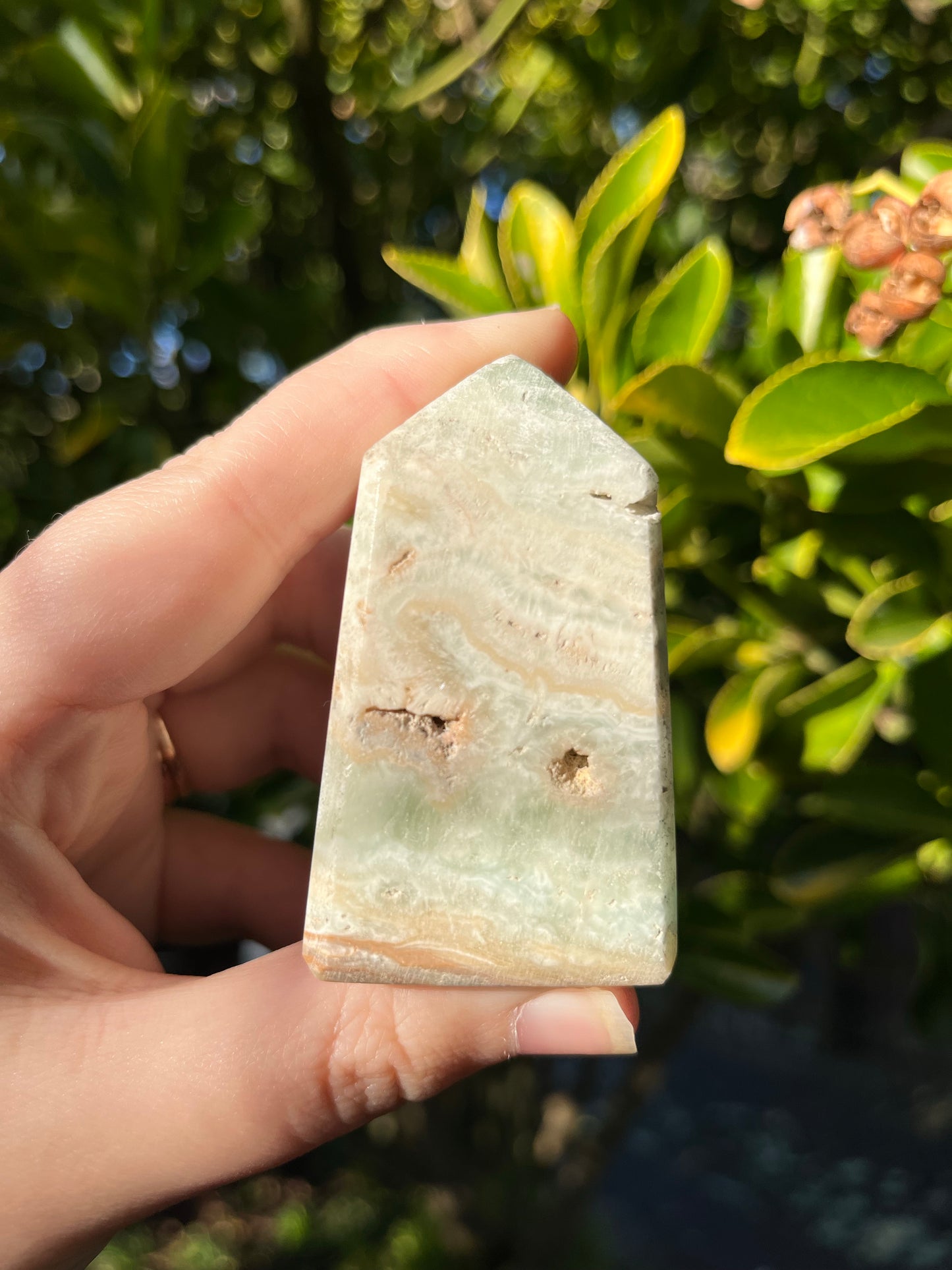 Caribbean Calcite Tower #3