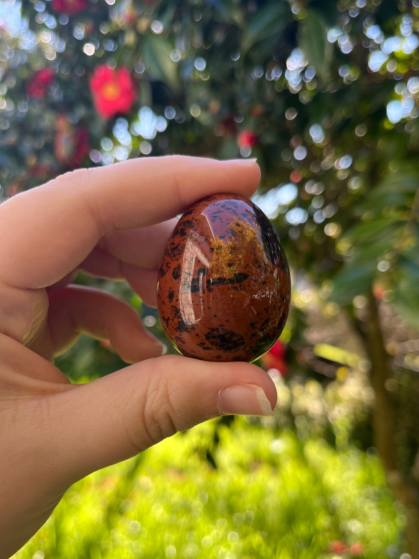 Mahogany Obsidian Egg