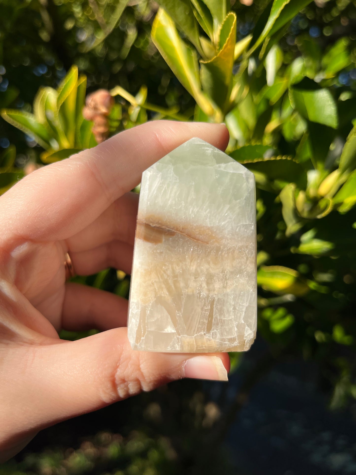 Caribbean Calcite Tower #4