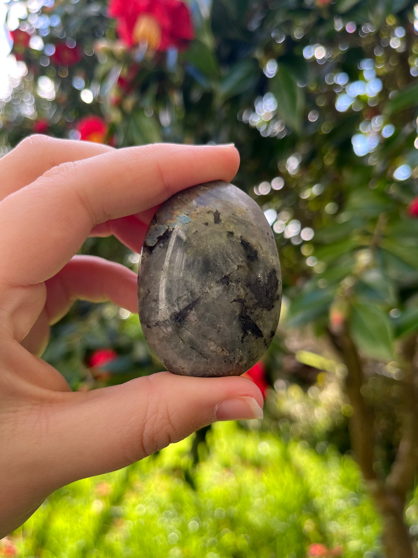 Rainbow Labradorite Palm Stone
