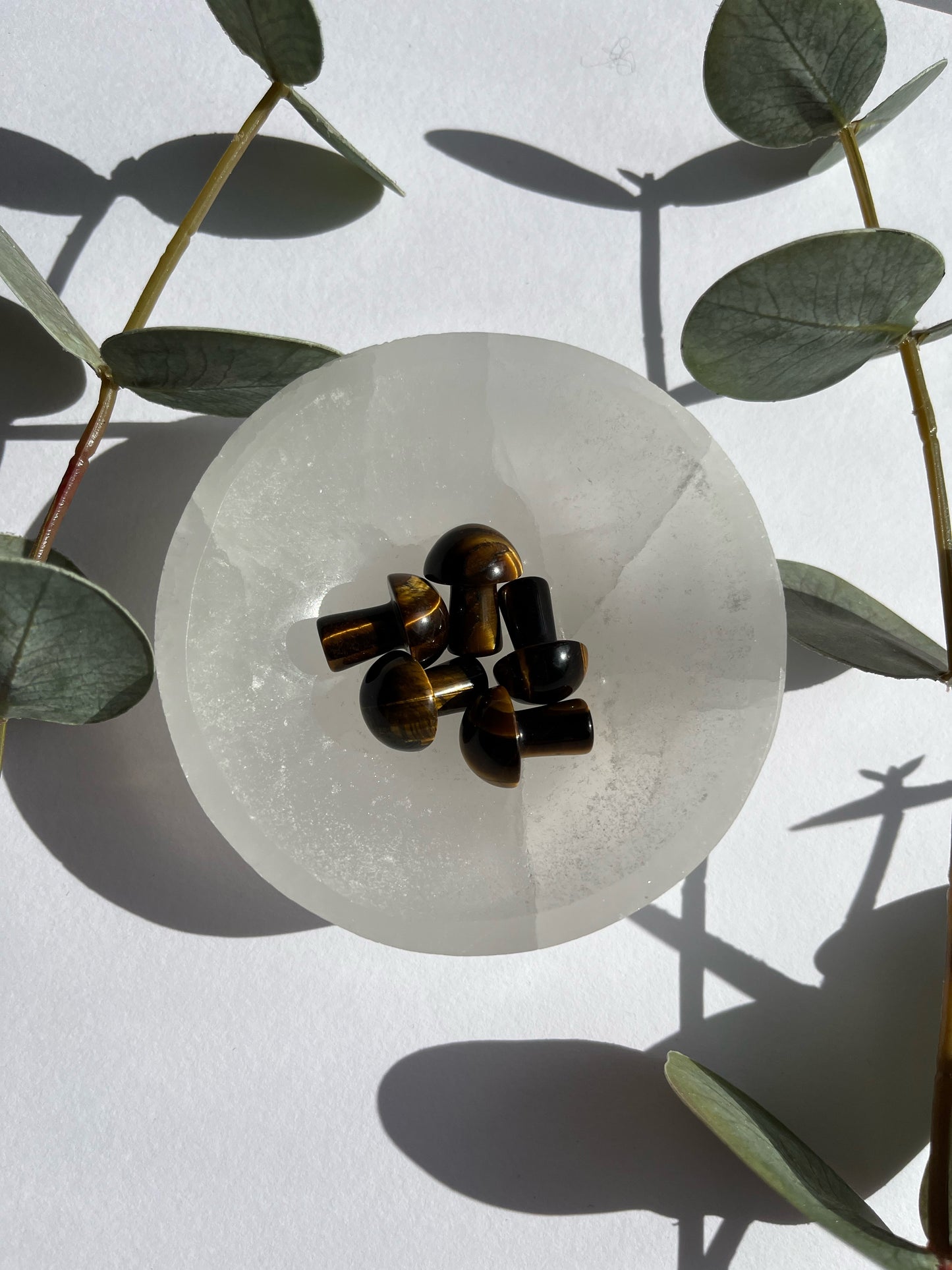 Tigers Eye Mini Mushroom