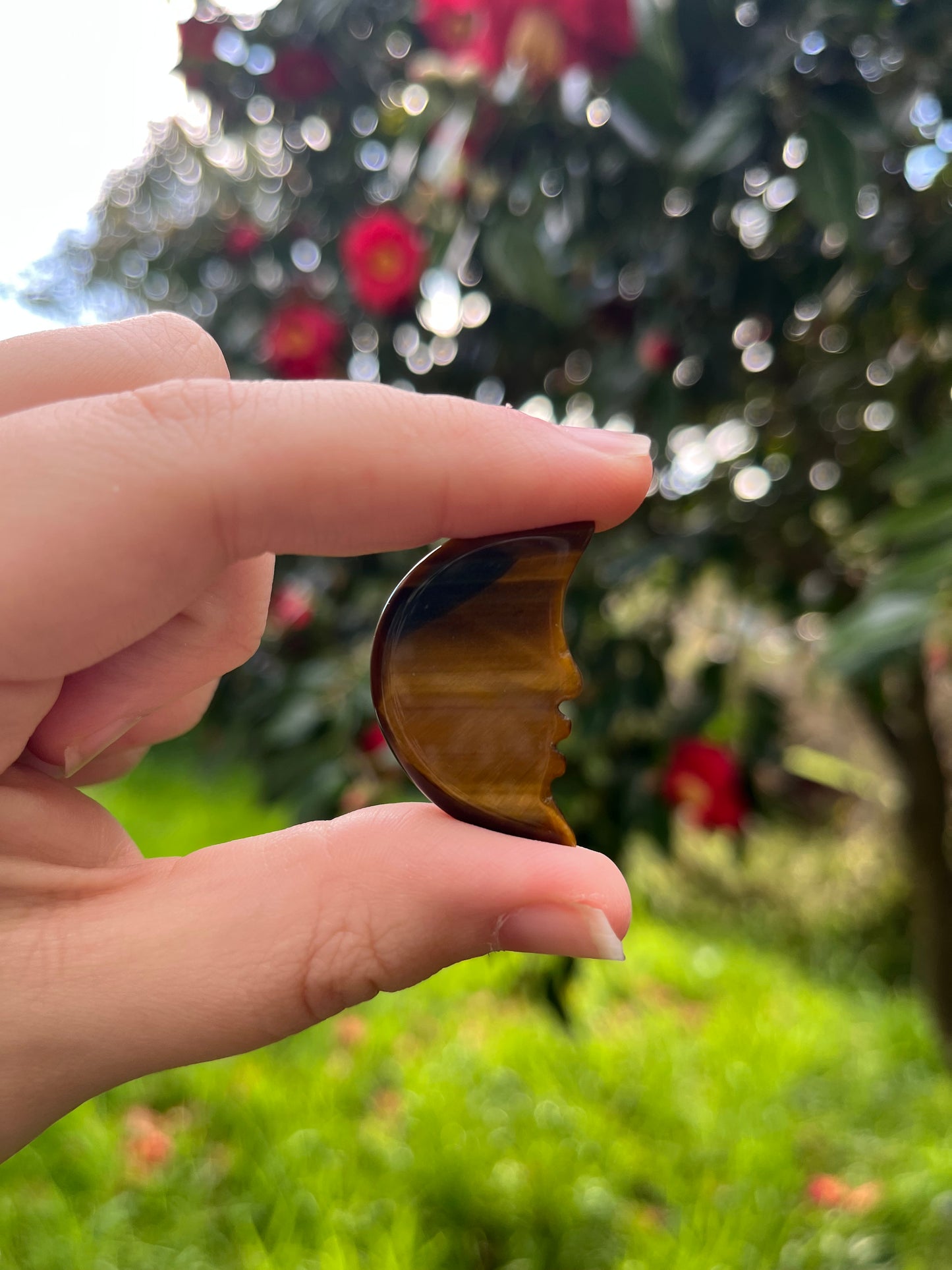 Tigers Eye Moon Carving