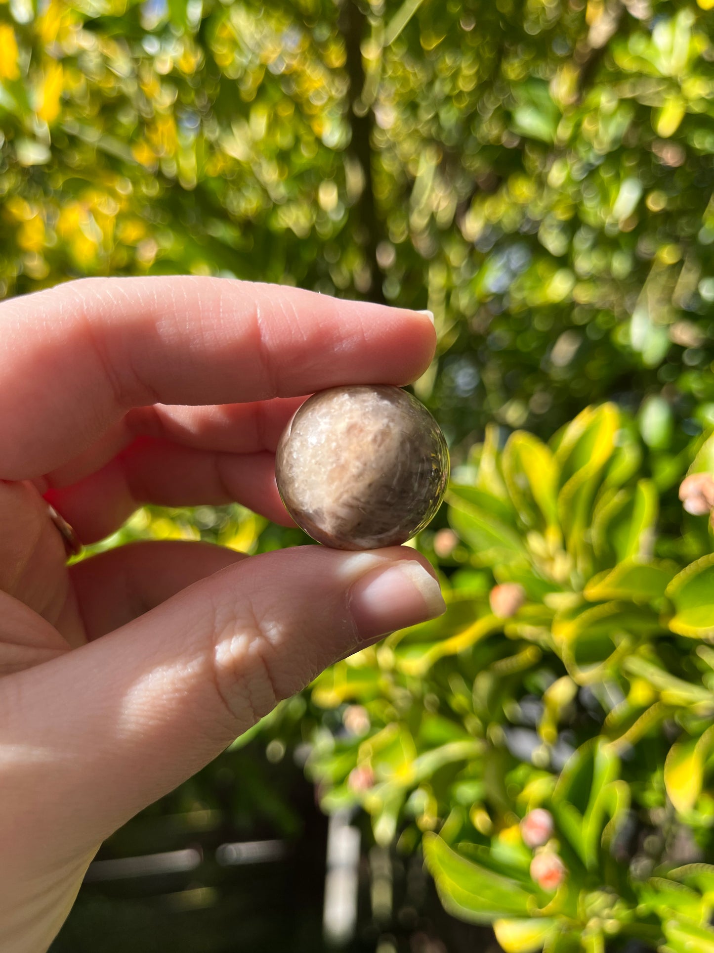 Brown Moonstone Sphere