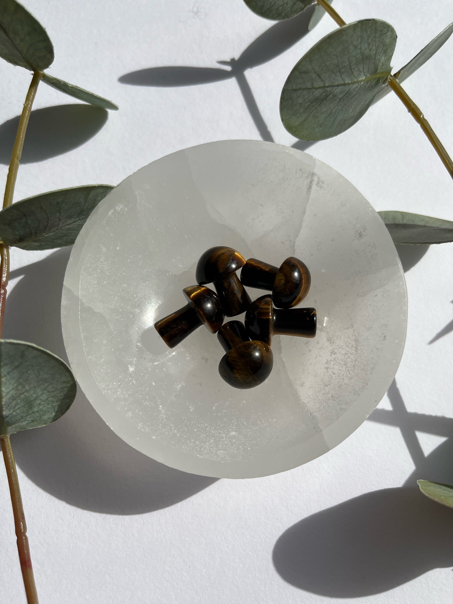 Tigers Eye Mini Mushroom