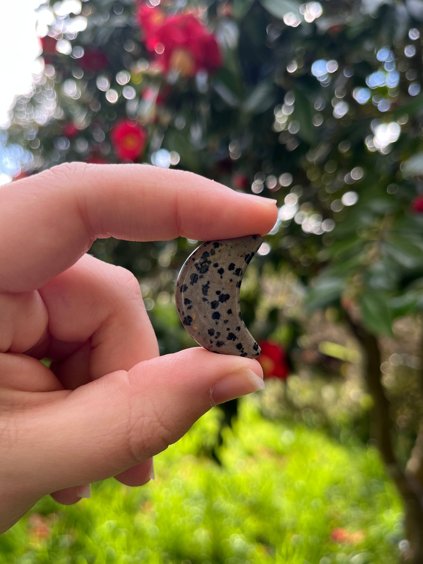 Dalmatian Jasper Moon Carving