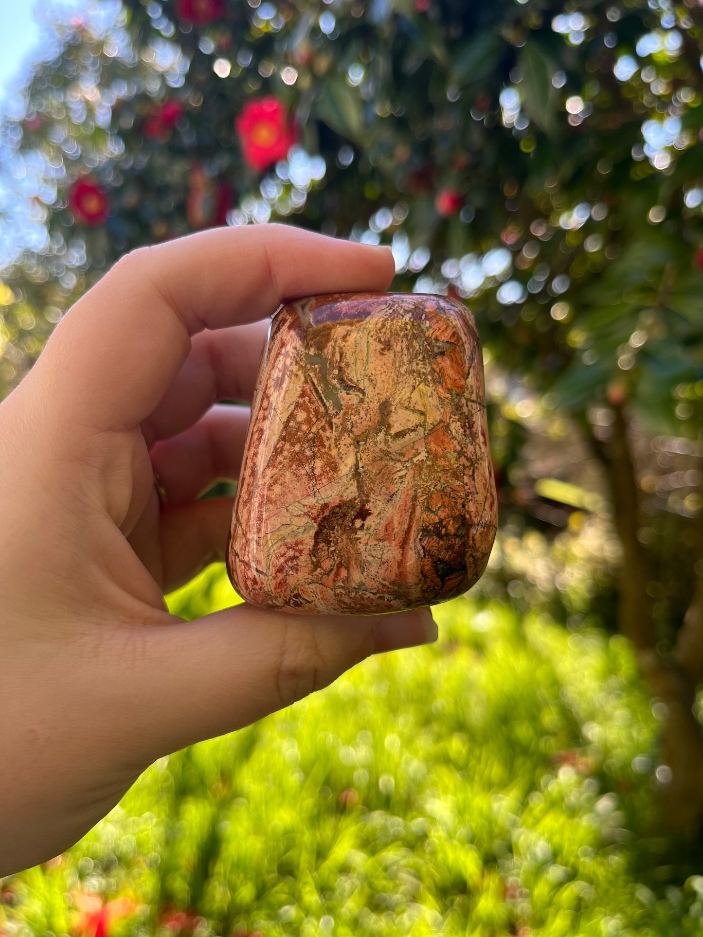 Rainbow Jasper Freeform