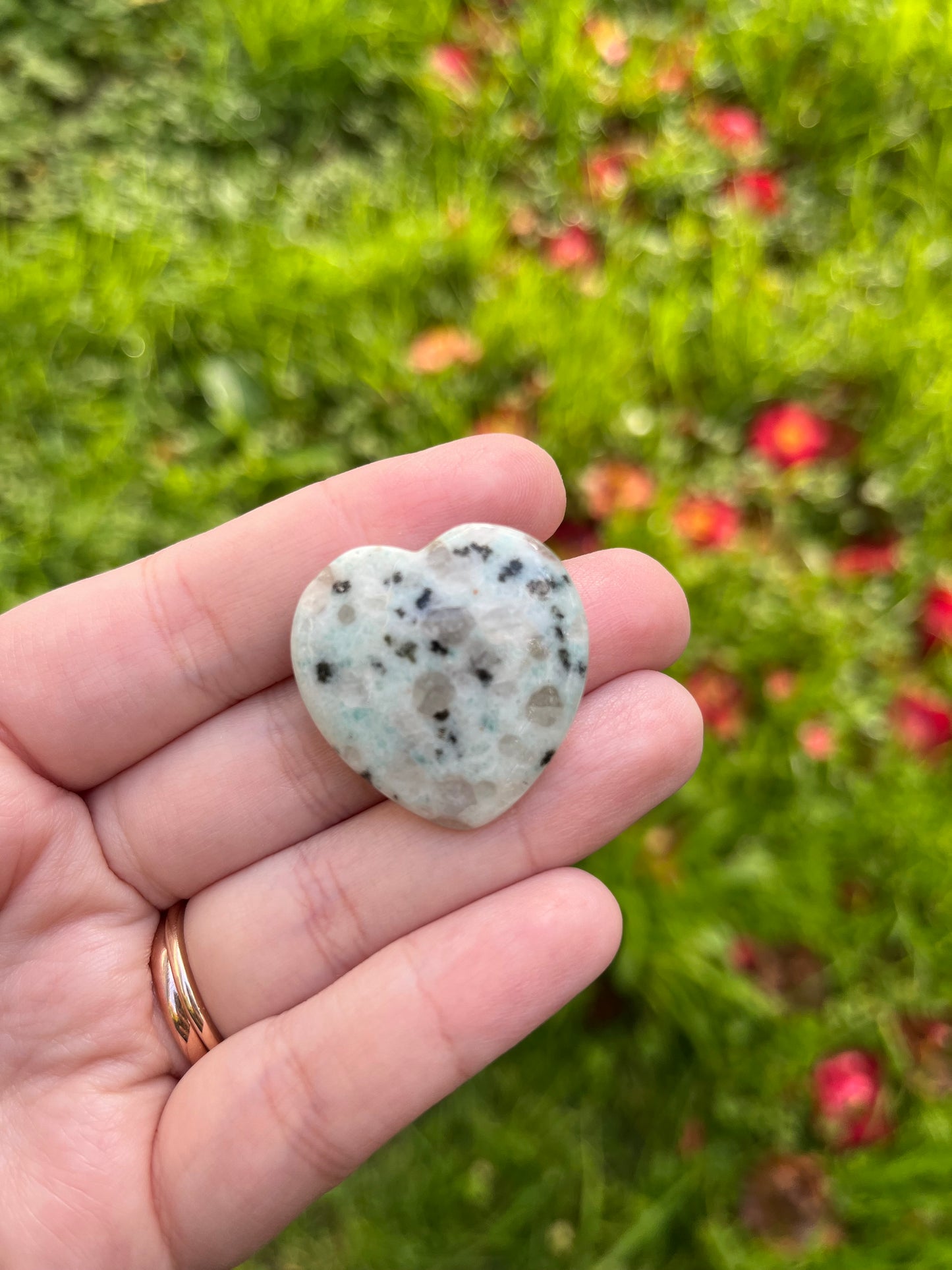 Kiwi Jasper Flat Heart