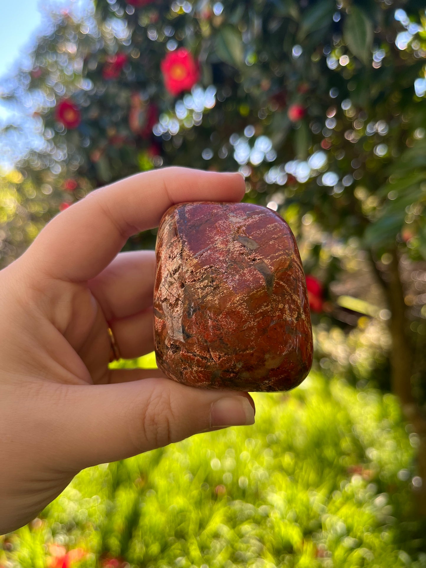 Rainbow Jasper Freeform