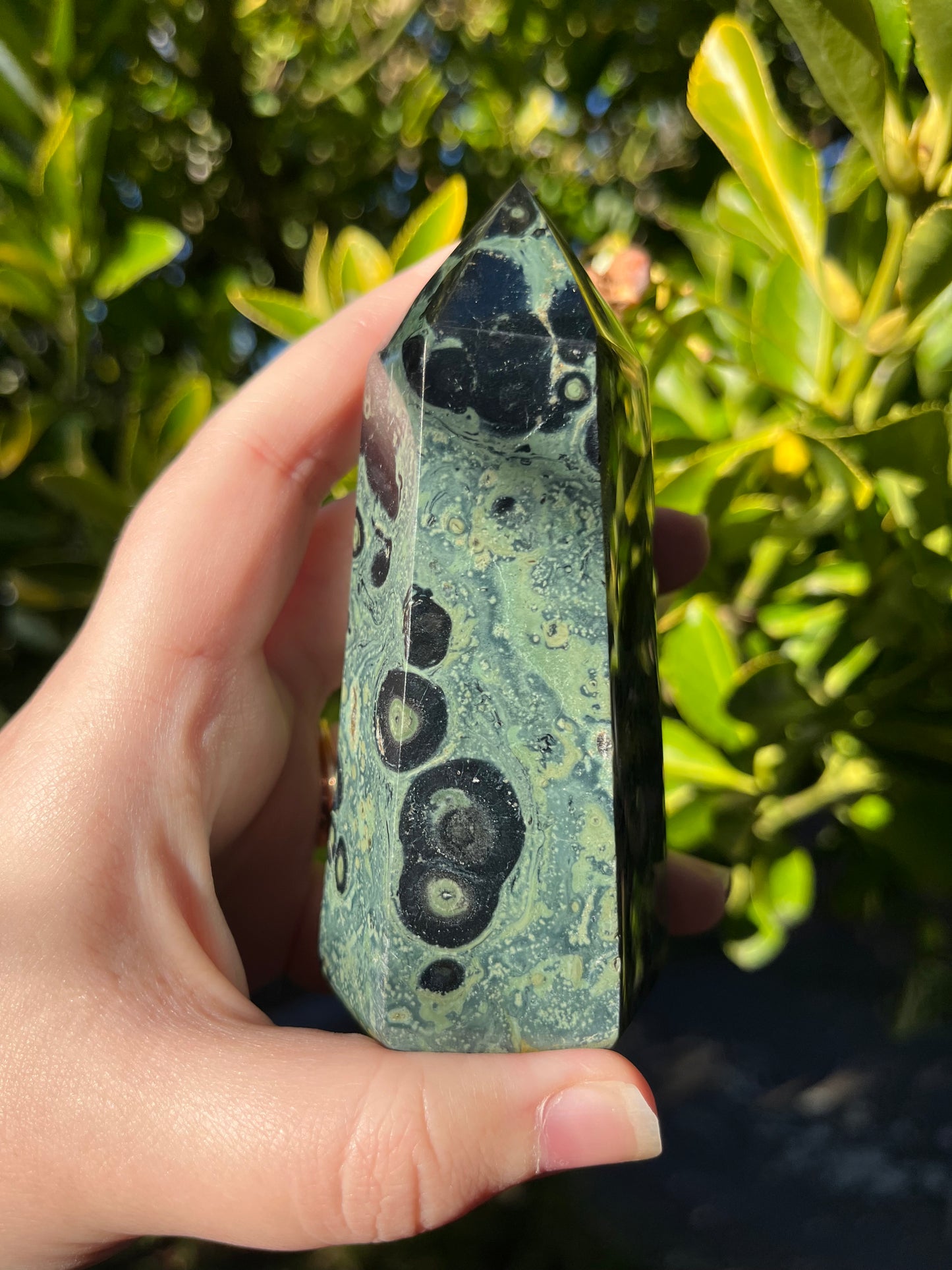 Kambaba Jasper Tower