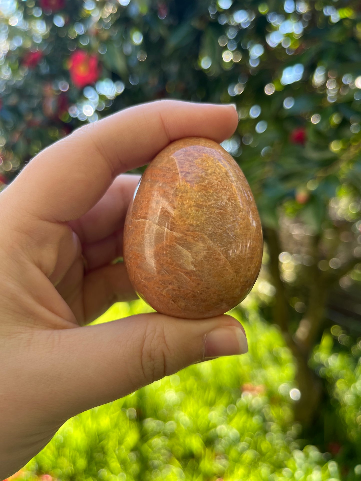 Peach Moonstone Egg #1