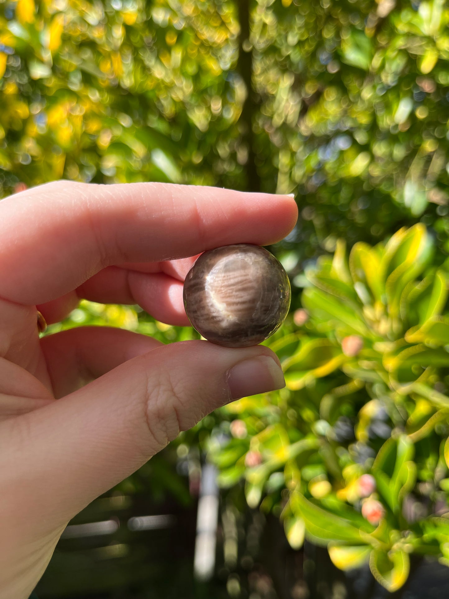 Brown Moonstone Sphere
