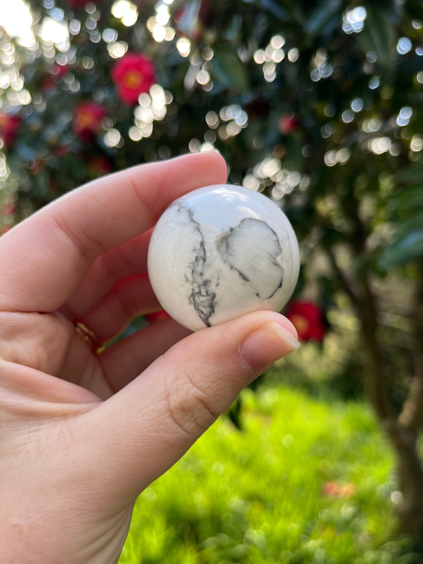 Howlite Sphere