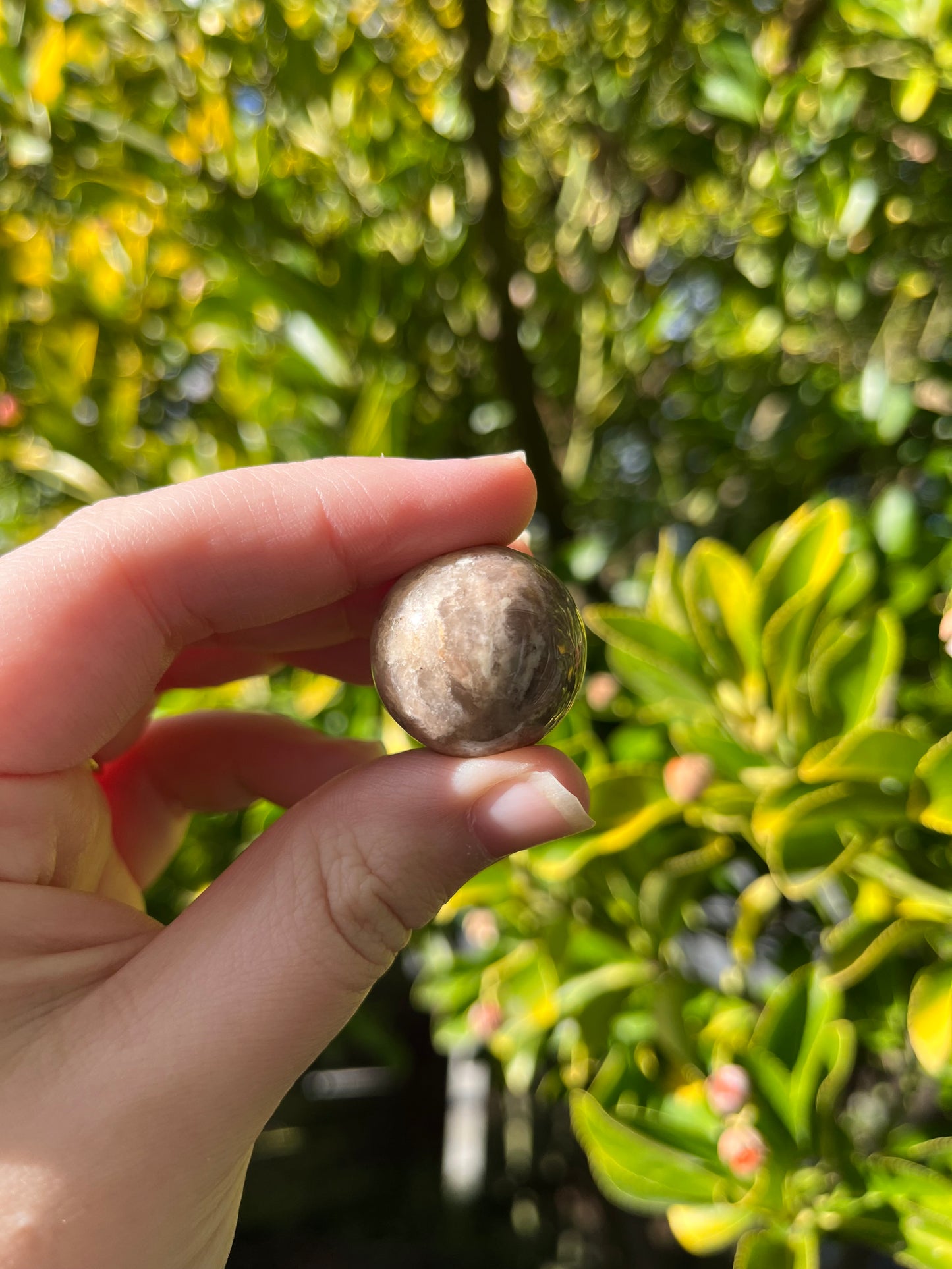 Brown Moonstone Sphere